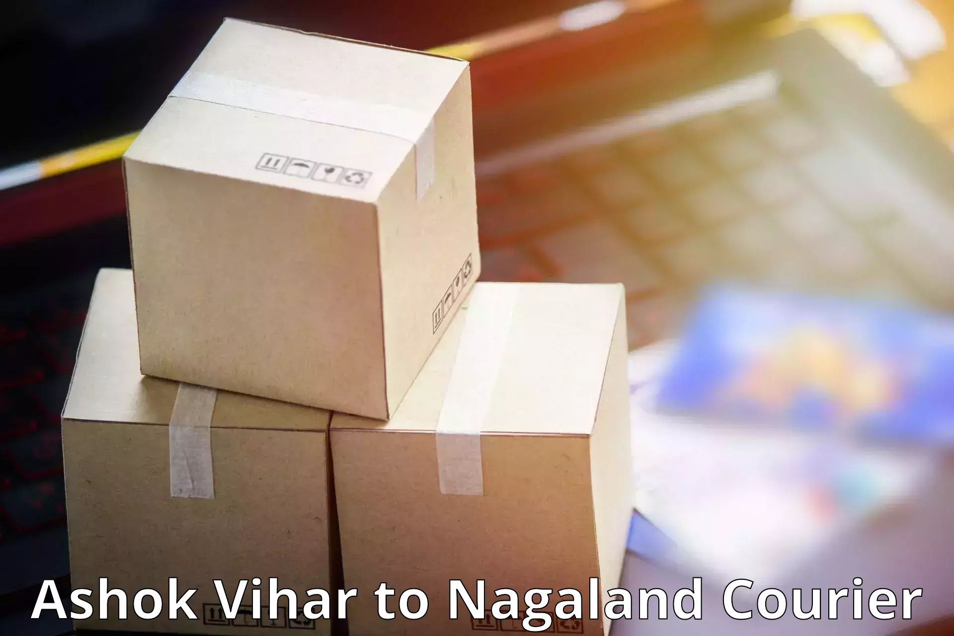 Dynamic parcel delivery Ashok Vihar to Kohima