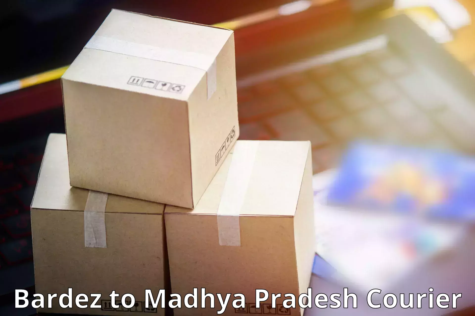 Modern courier technology in Bardez to Udaipura