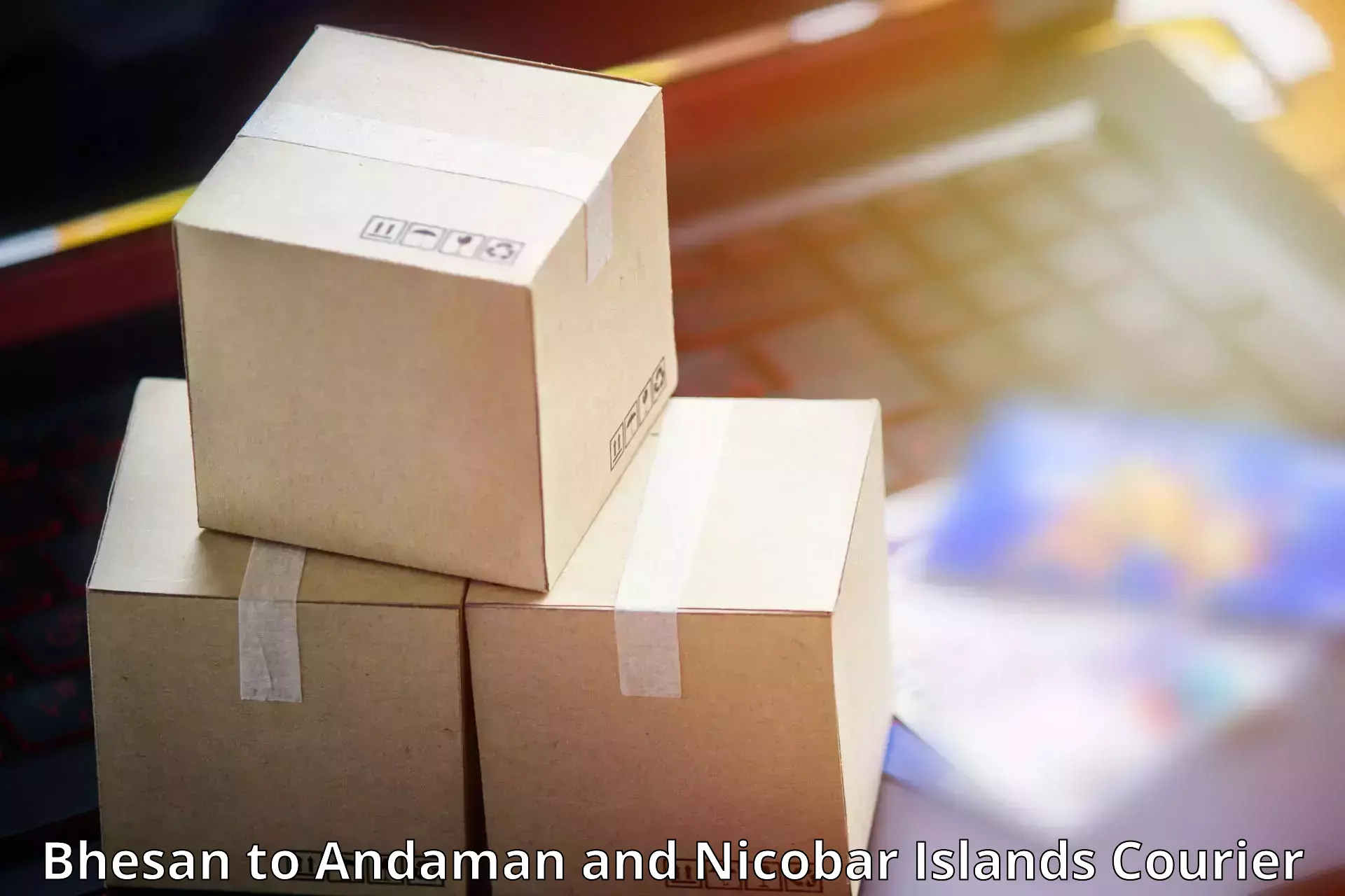 Affordable parcel service in Bhesan to Andaman and Nicobar Islands