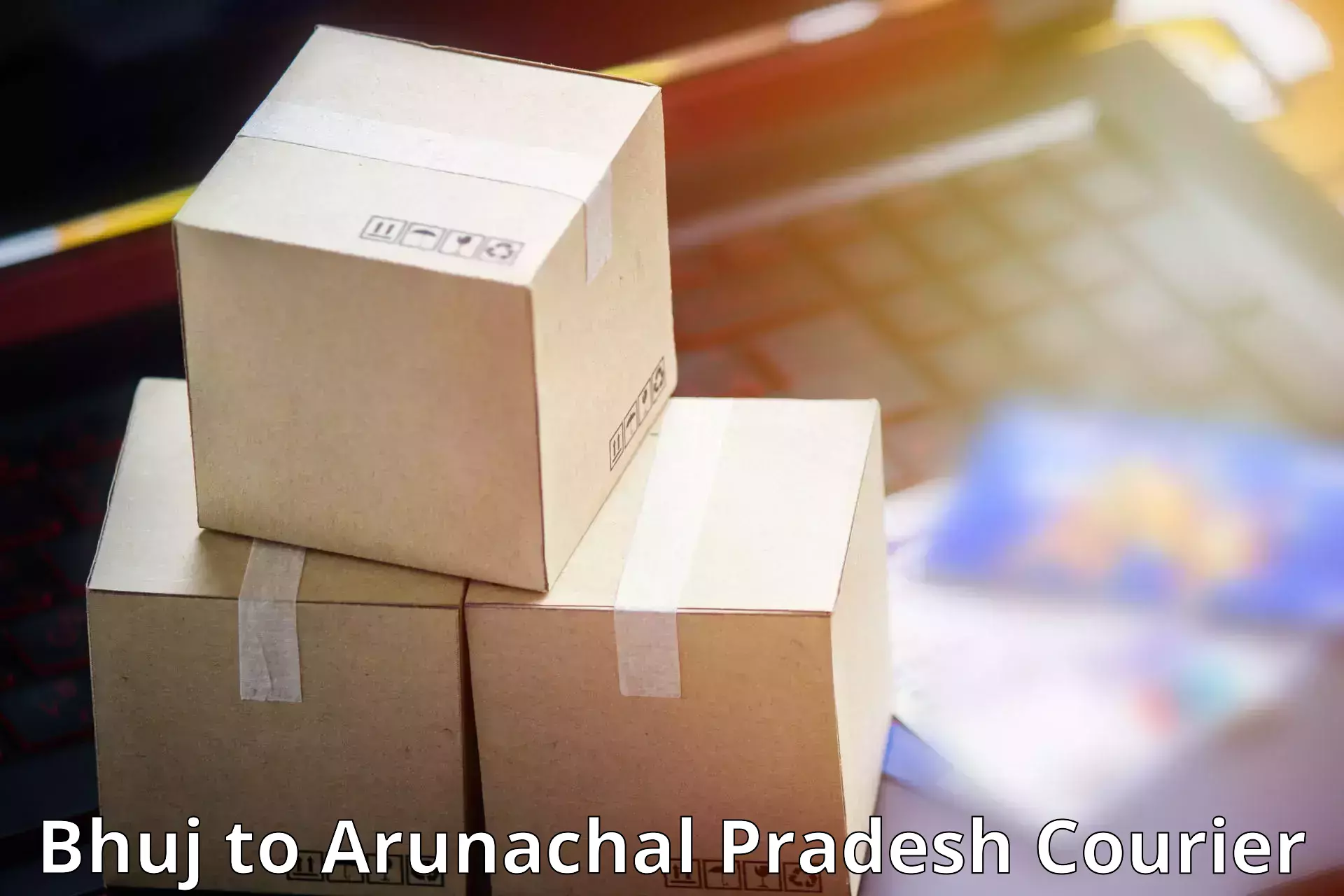 Air courier services Bhuj to Aalo