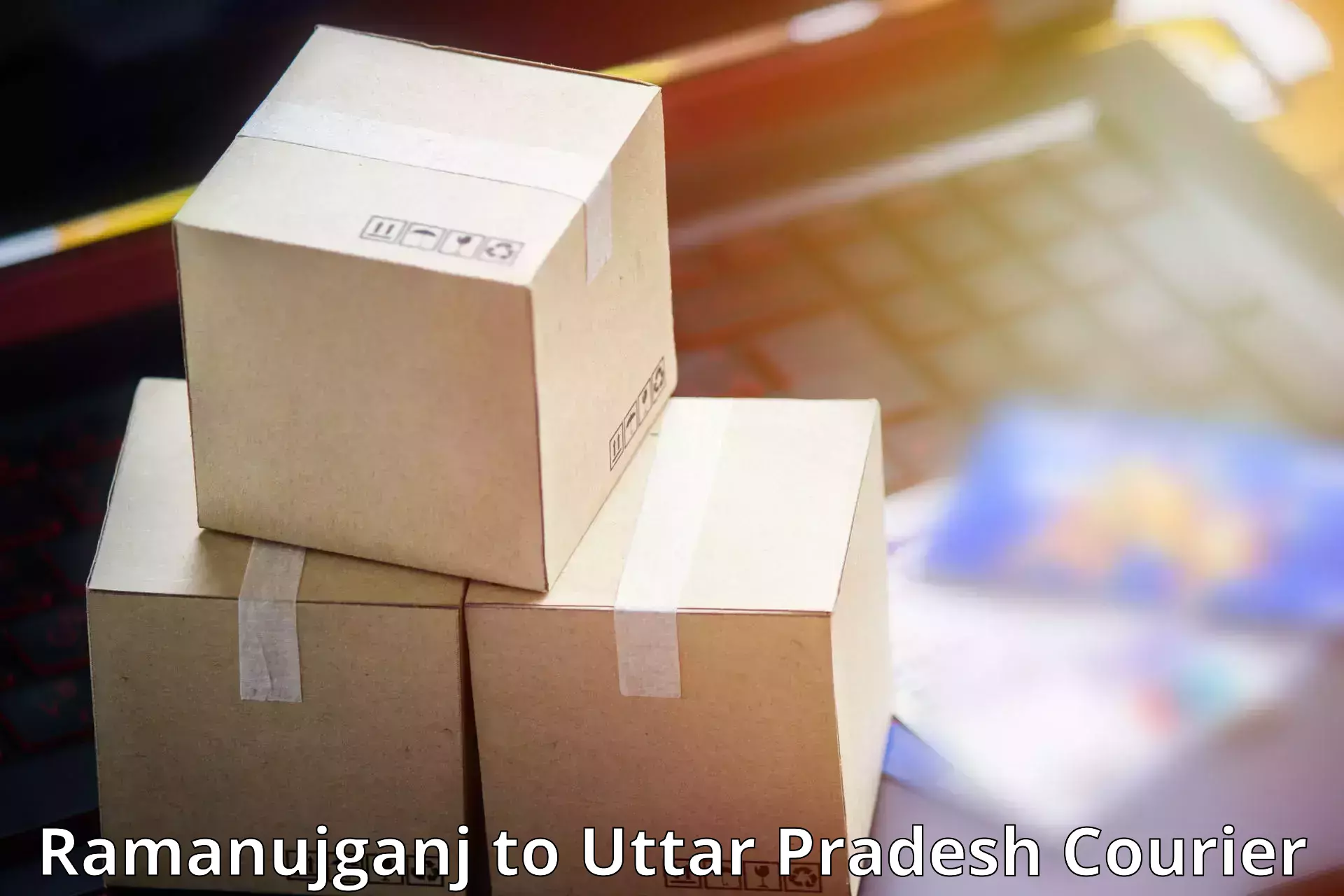 High-capacity shipping options Ramanujganj to Agra