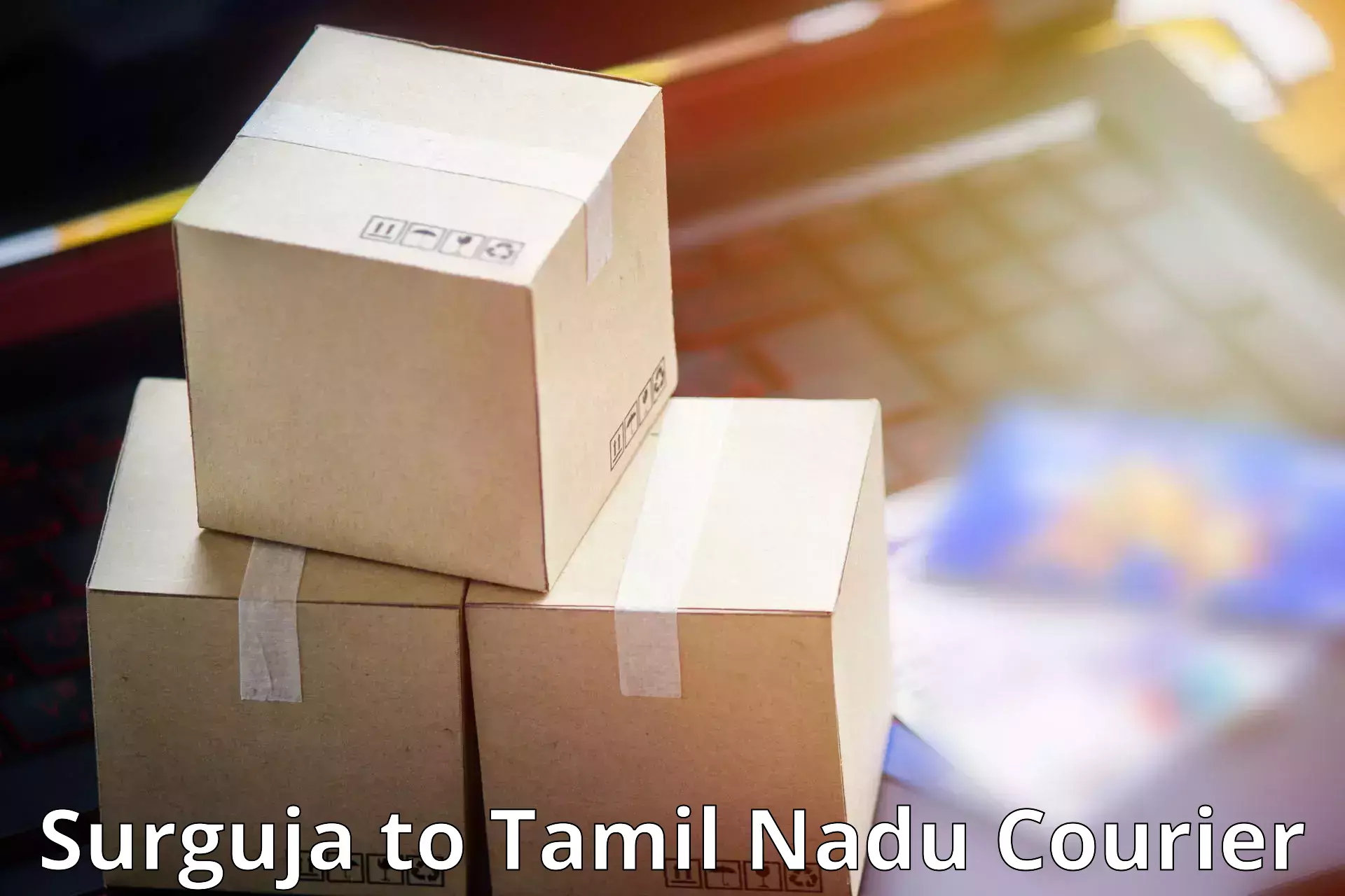 Smart parcel delivery Surguja to Kalpakkam