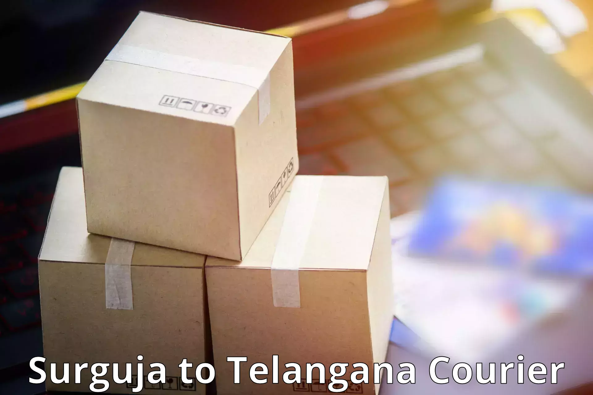 Custom courier packaging Surguja to Haliya