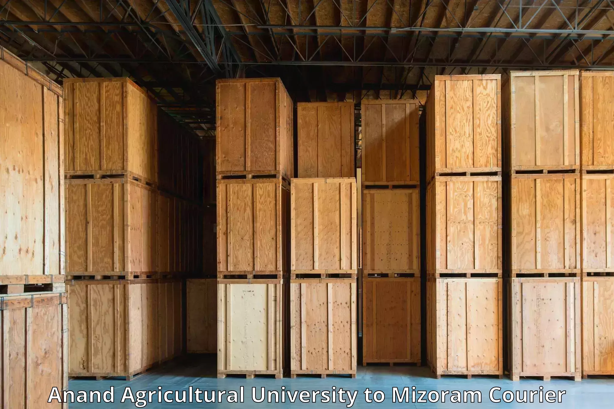 Expedited shipping methods Anand Agricultural University to Mizoram University Aizawl