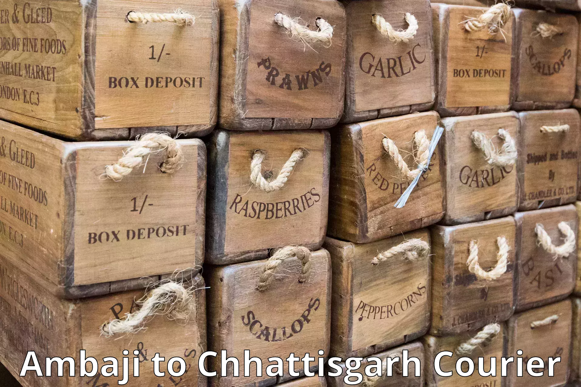 Professional courier handling Ambaji to Raigarh Chhattisgarh