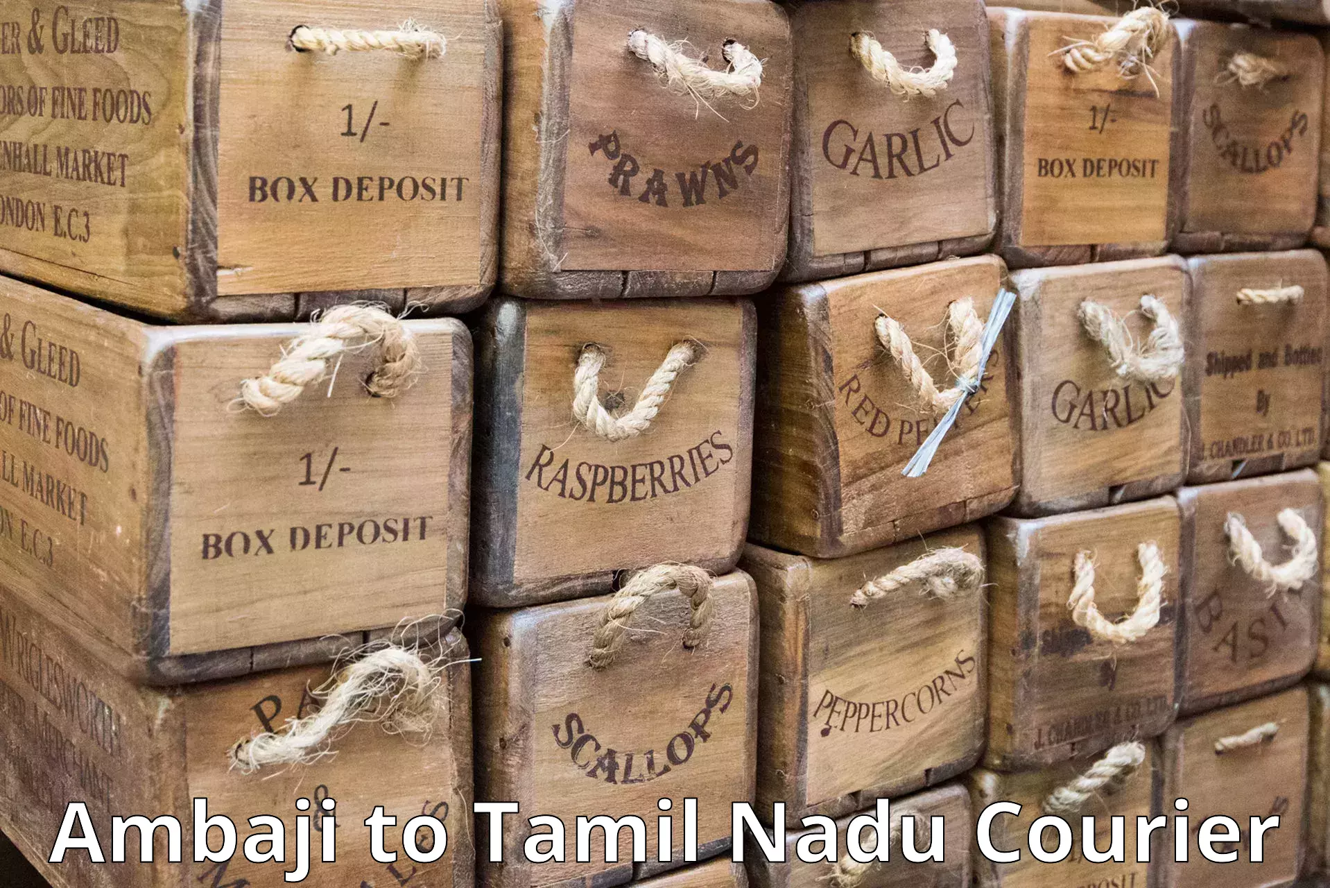 Reliable courier services in Ambaji to Ennore Port Chennai