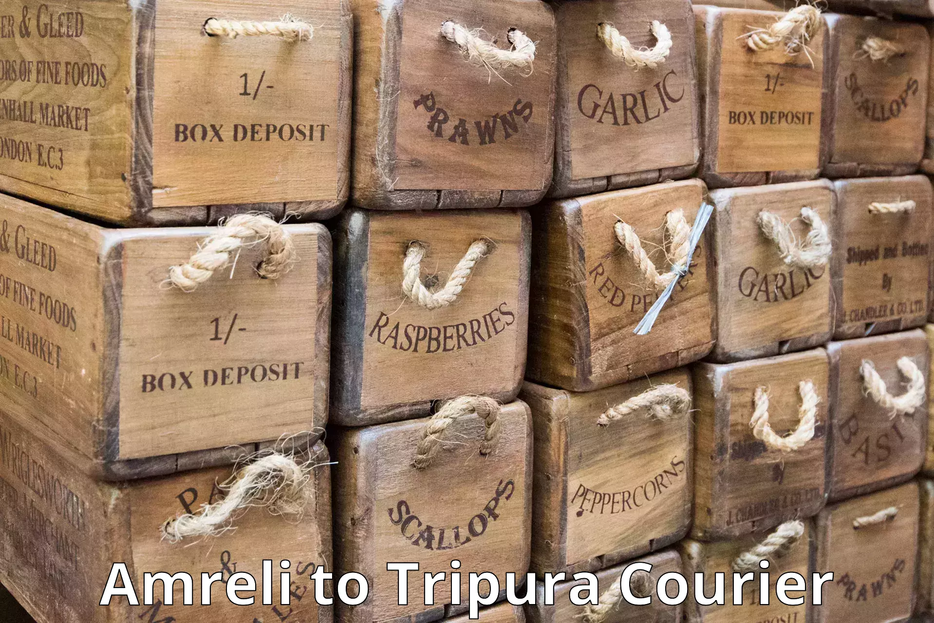 Courier service partnerships Amreli to Udaipur Tripura