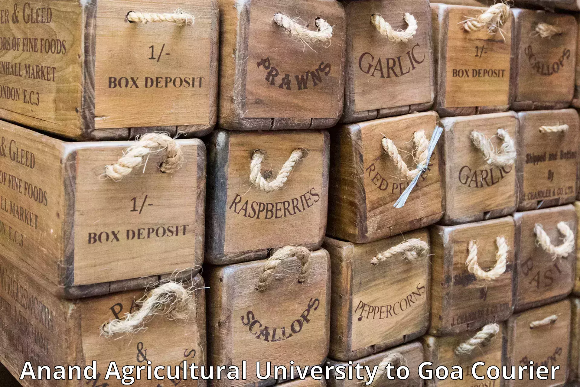 Secure package delivery Anand Agricultural University to Goa