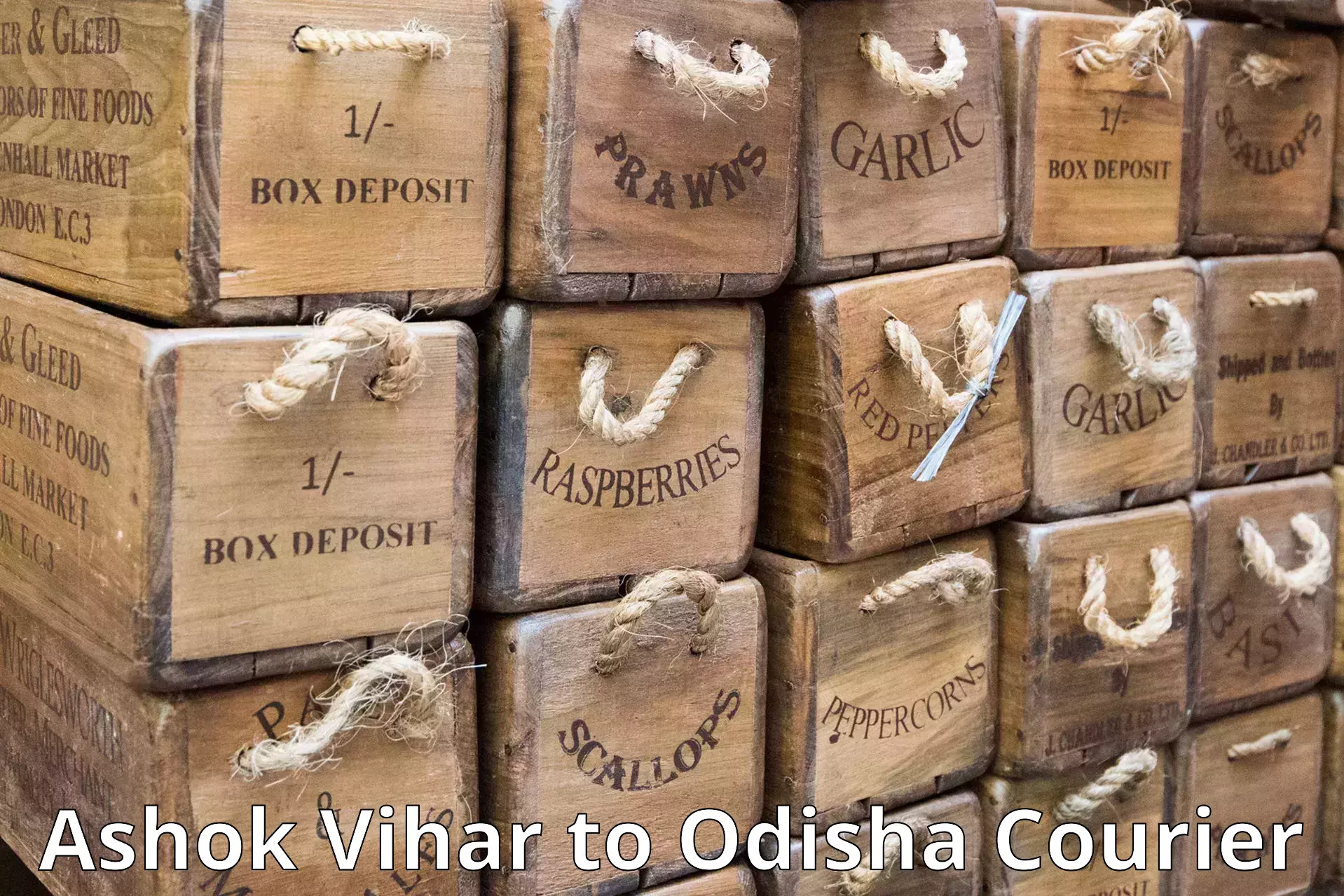 Postal and courier services Ashok Vihar to Odisha