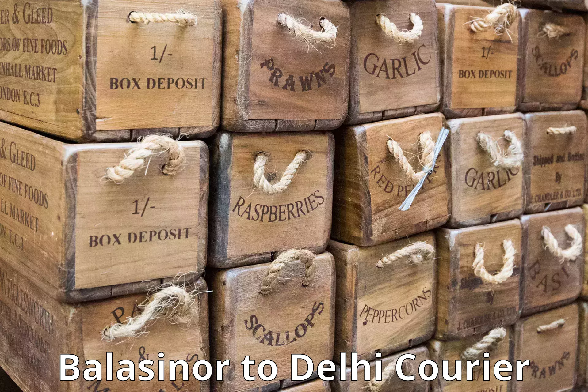 Round-the-clock parcel delivery Balasinor to University of Delhi