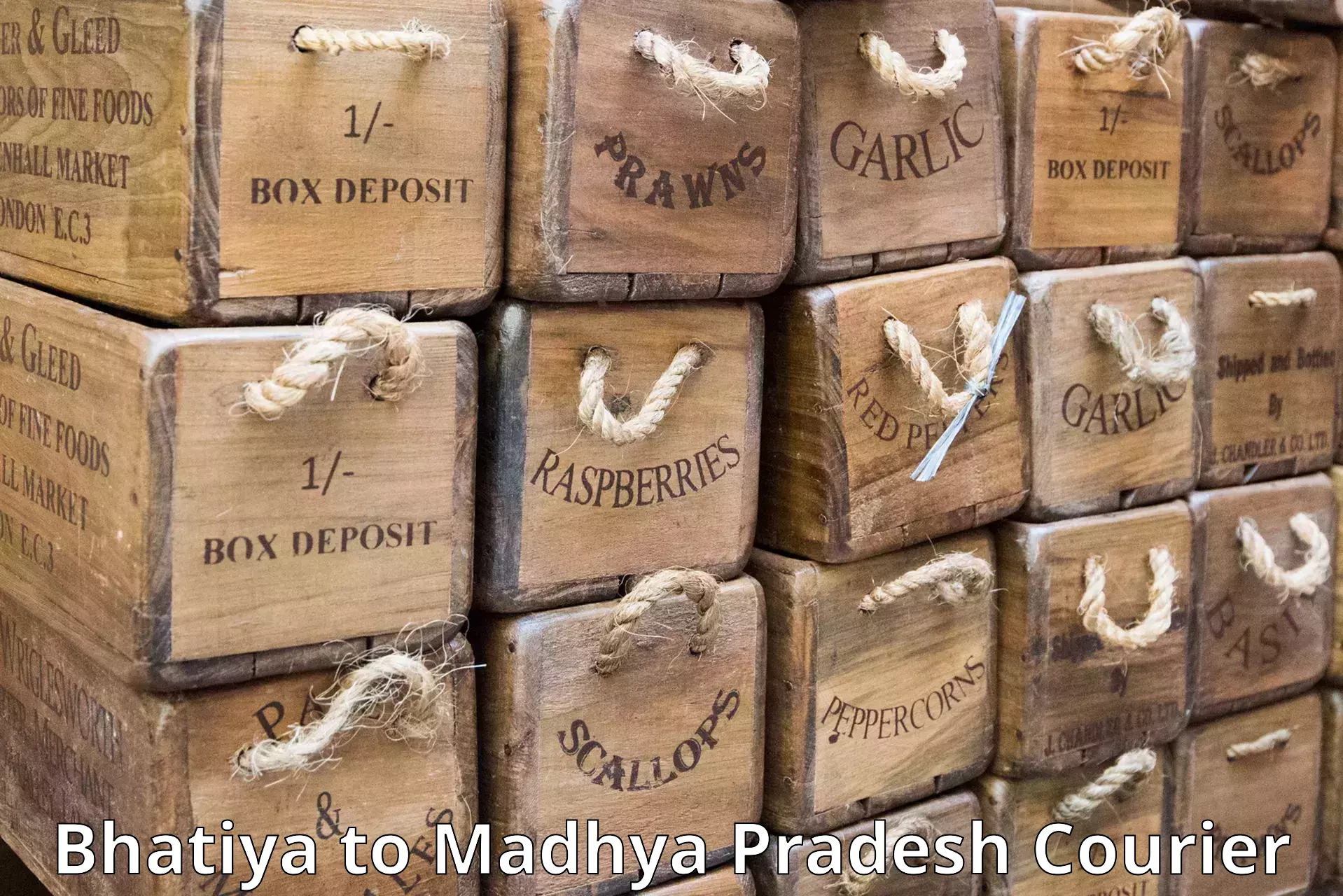 Easy access courier services in Bhatiya to Damoh
