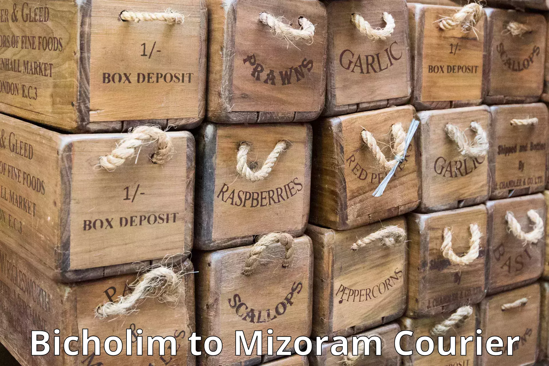 Express delivery capabilities Bicholim to Mizoram