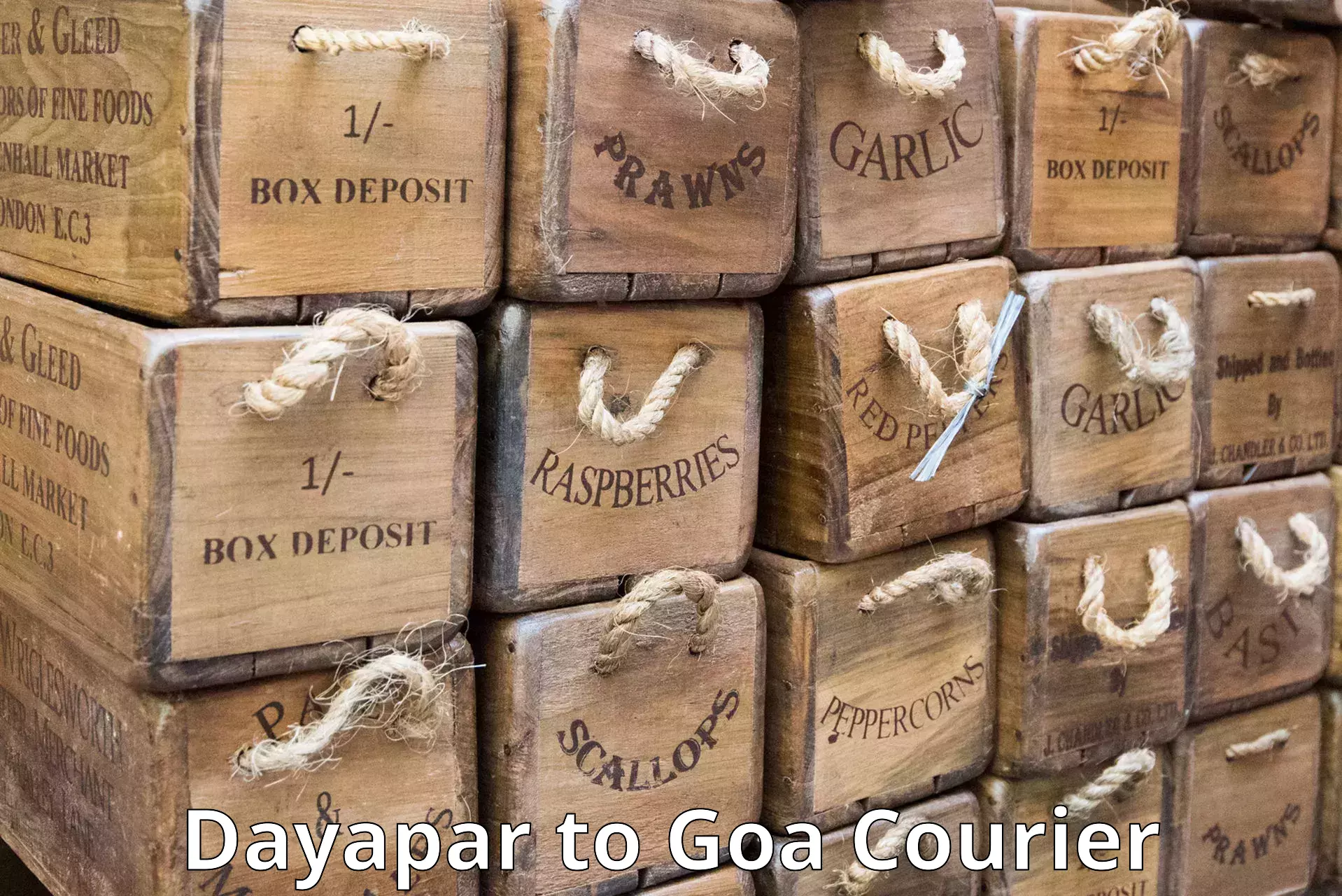 Cargo courier service Dayapar to Goa University