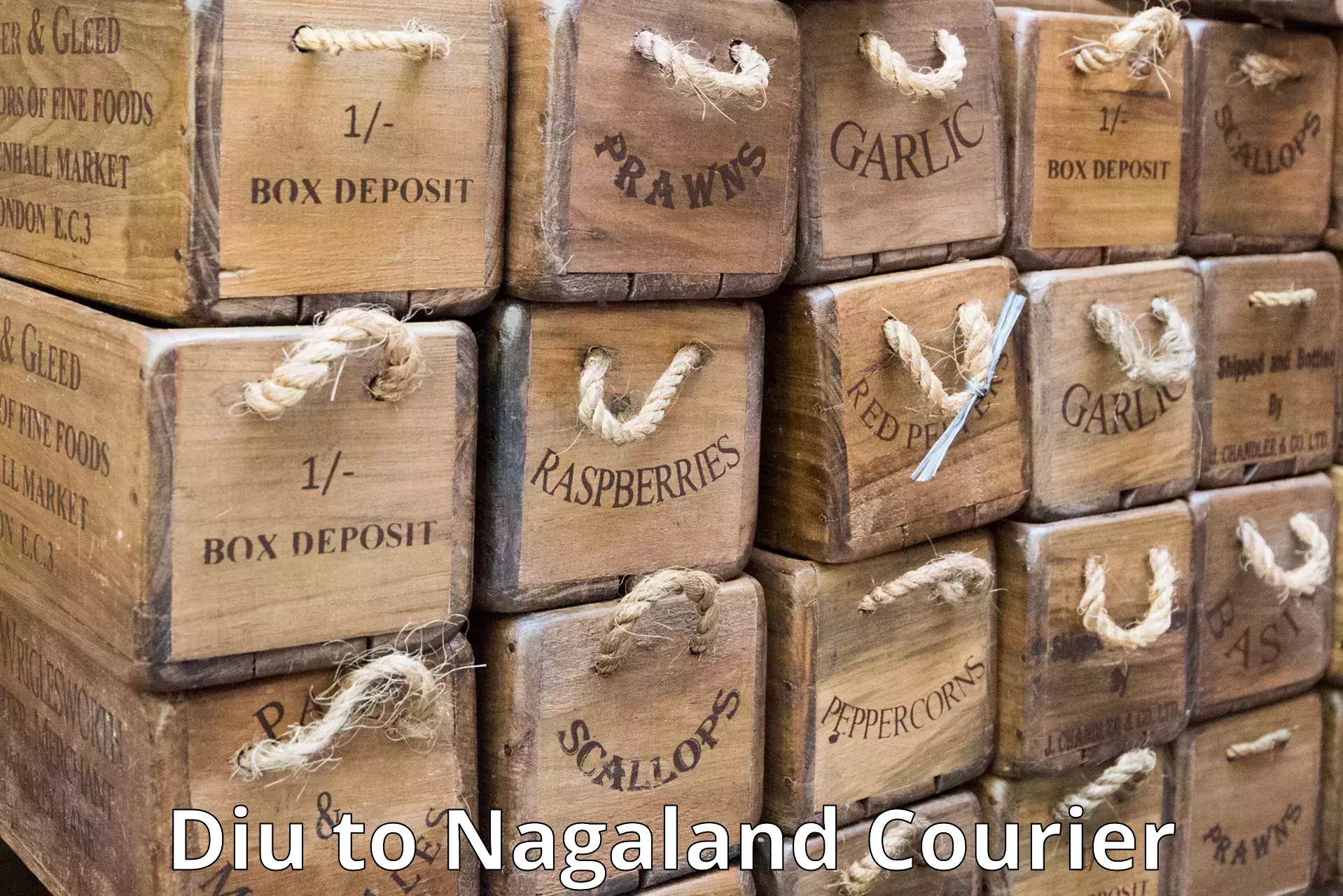 Package delivery network Diu to Nagaland