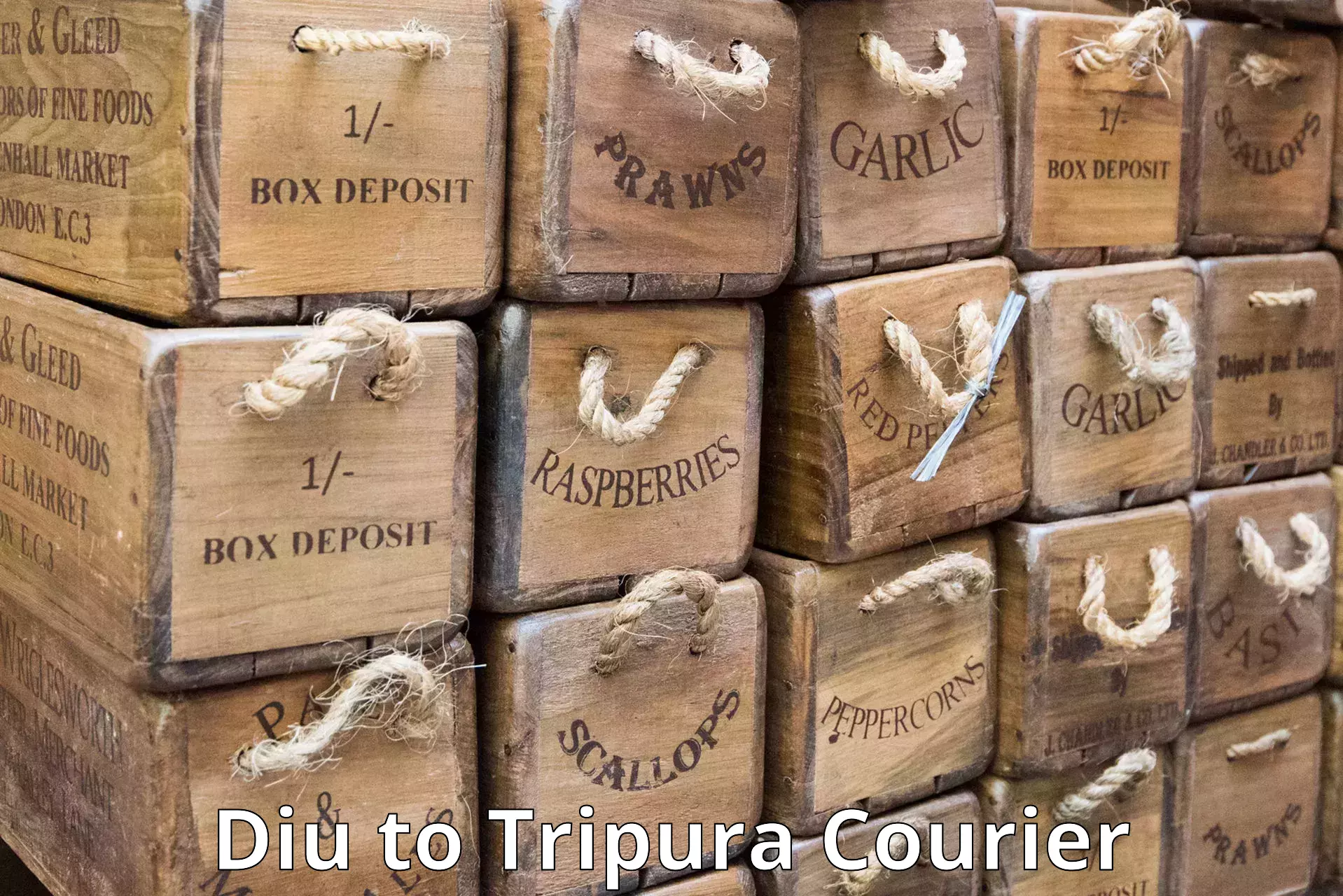 Tailored shipping plans Diu to Udaipur Tripura