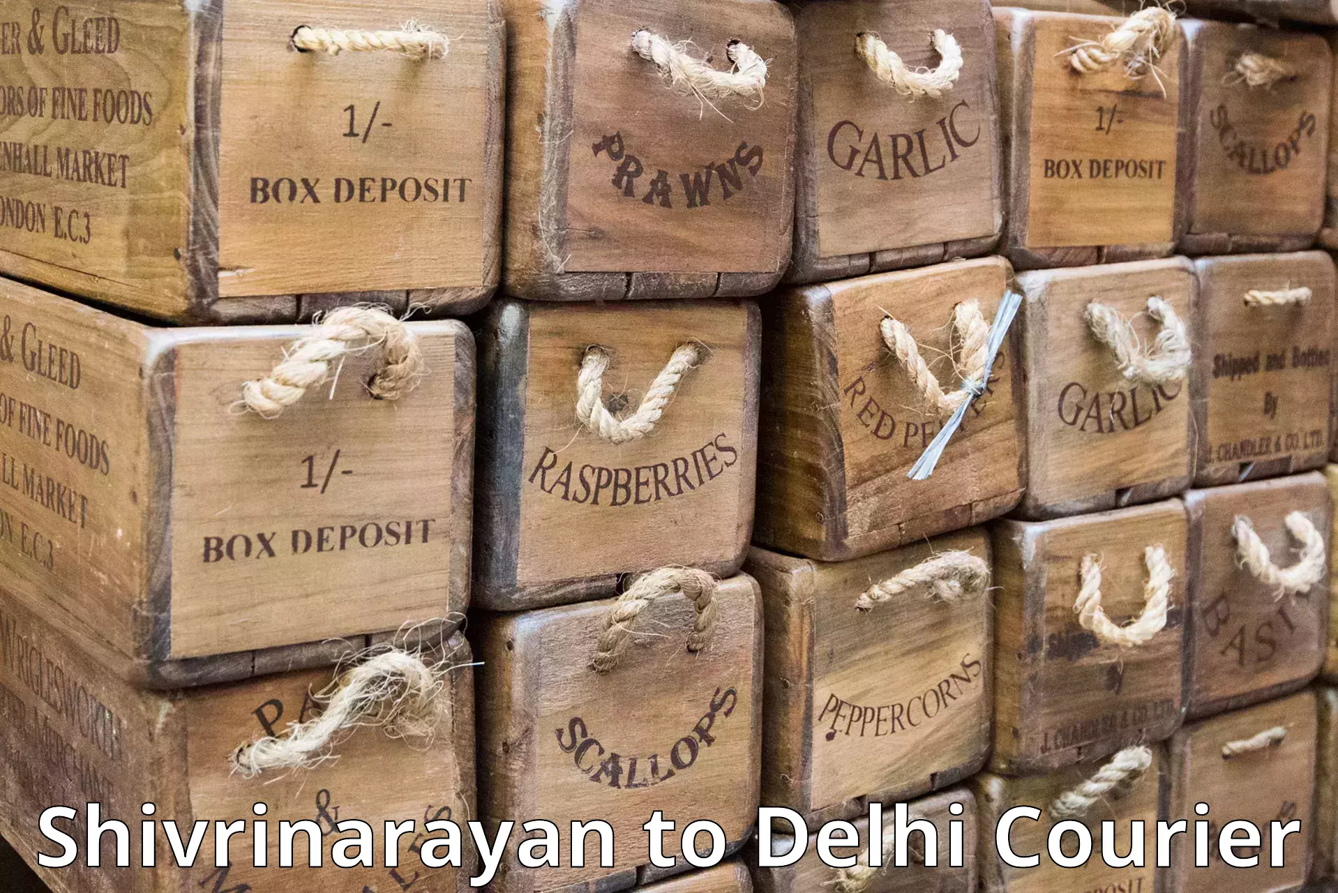 Customized delivery solutions Shivrinarayan to NIT Delhi
