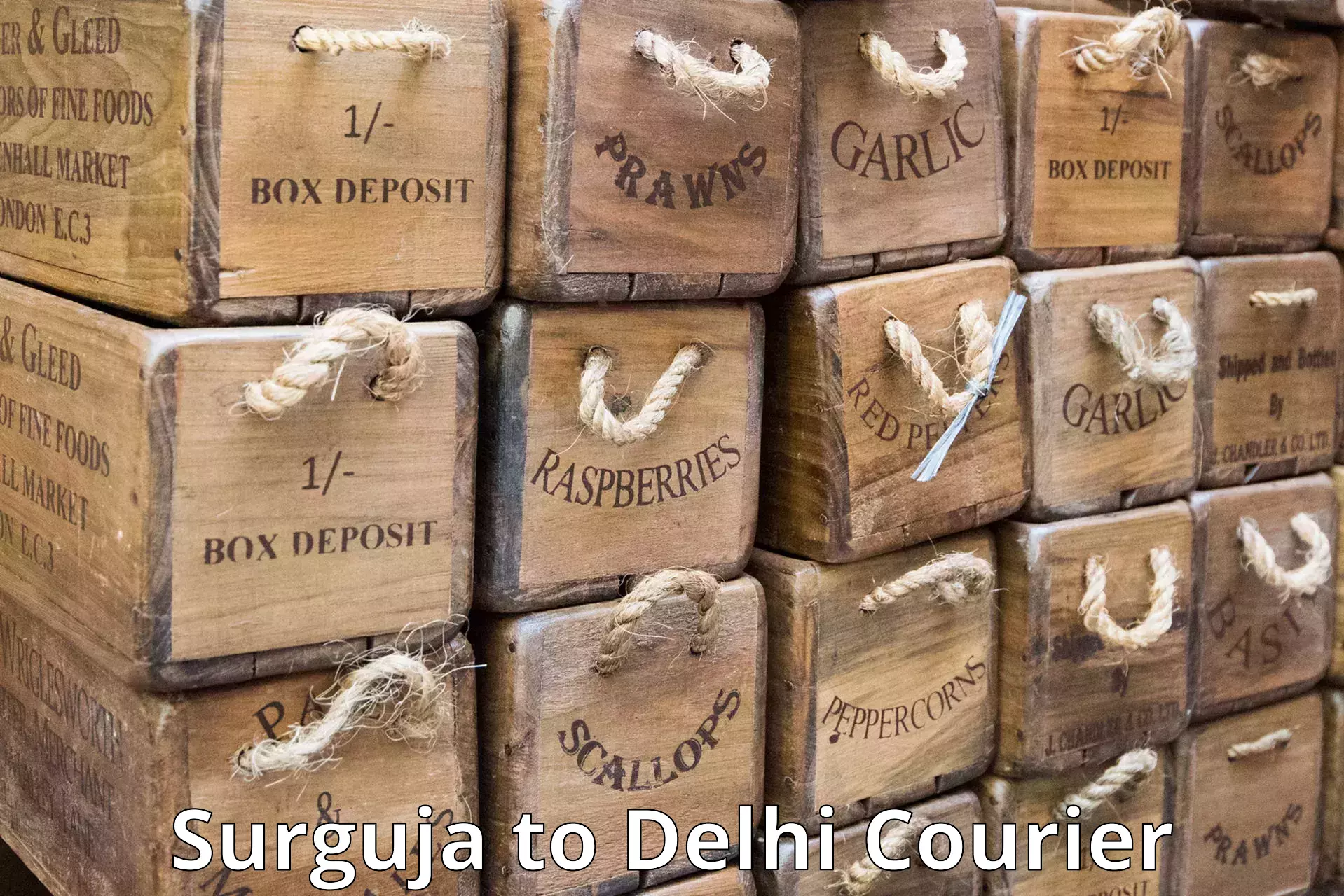 Doorstep delivery service Surguja to Delhi Technological University DTU