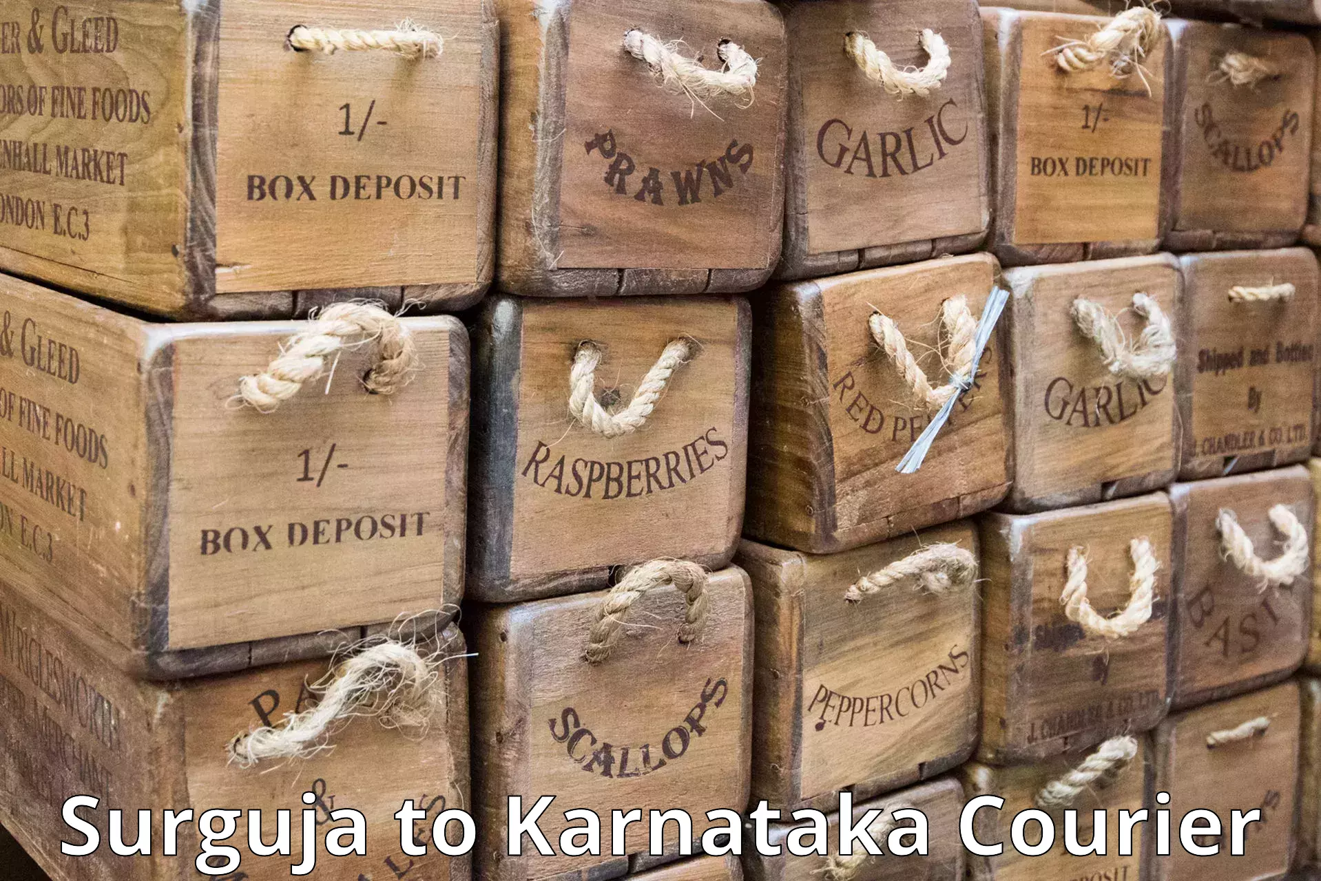 Global parcel delivery Surguja to Karnataka