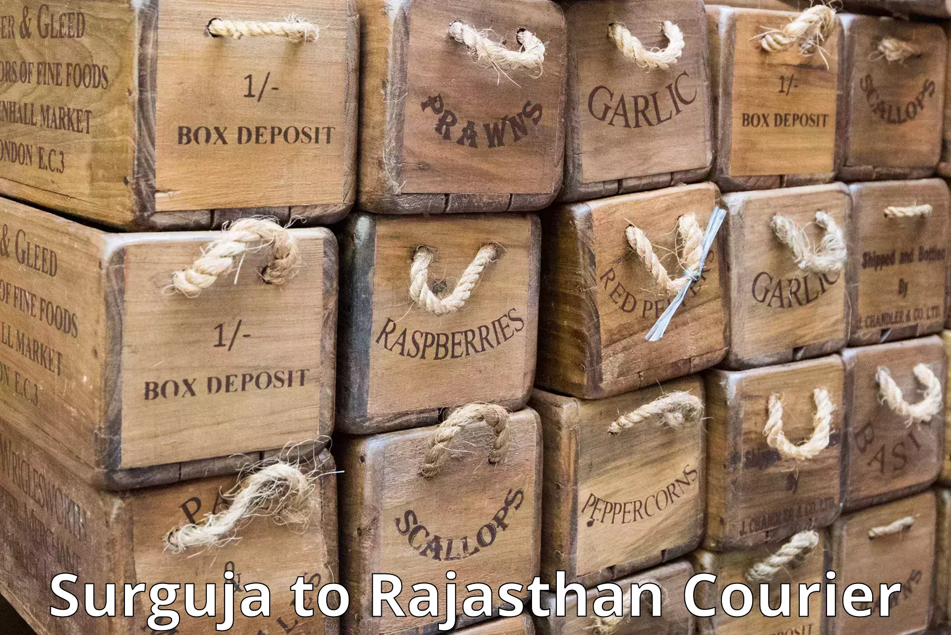 High-capacity parcel service Surguja to Pratapgarh Rajasthan