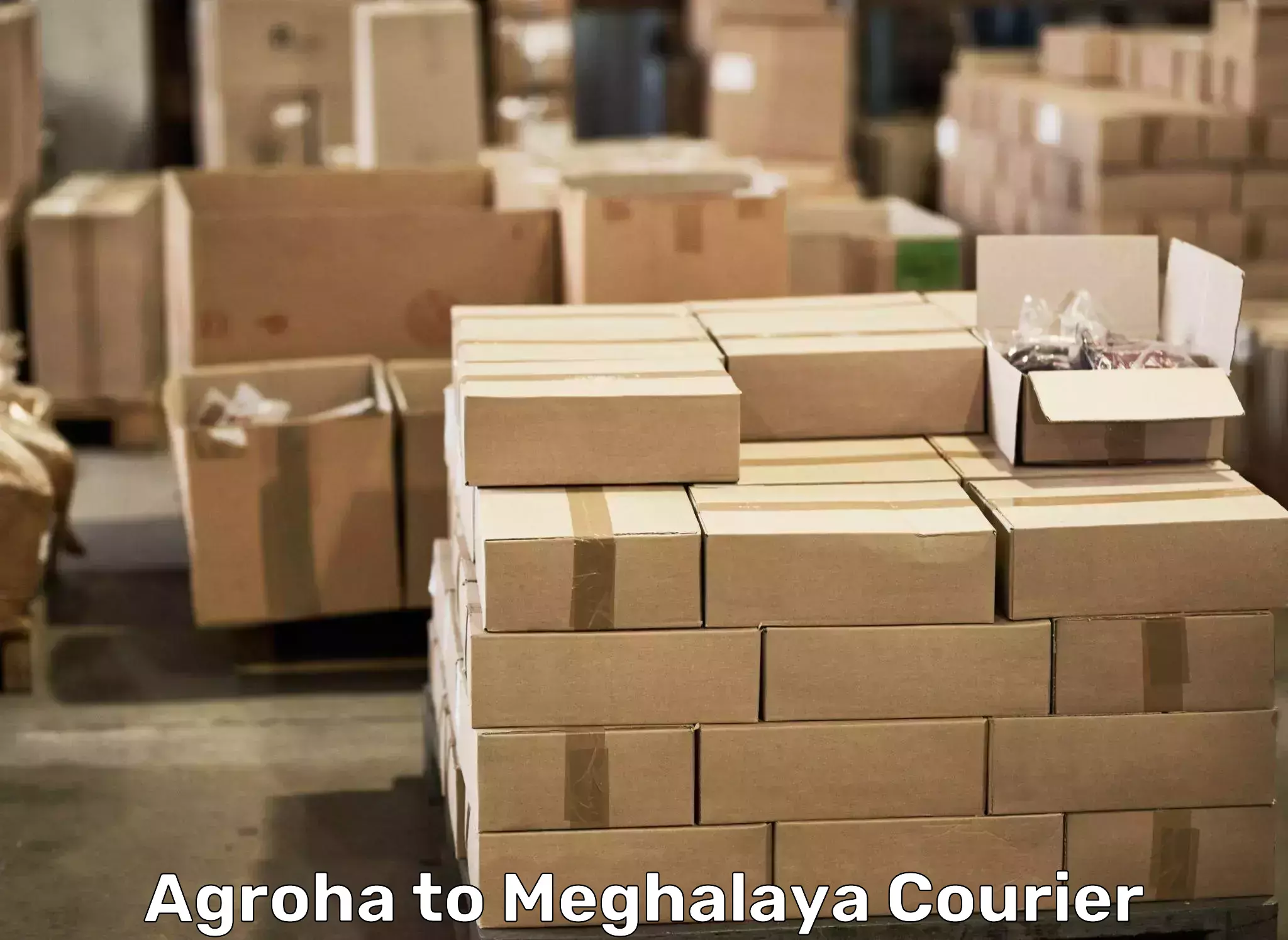 Skilled furniture transport Agroha to West Khasi Hills