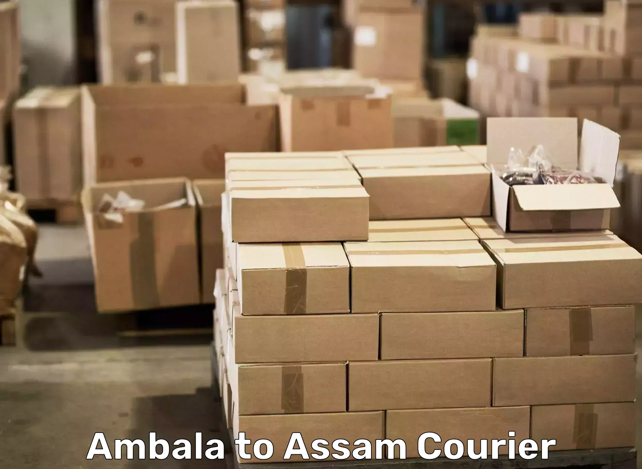 Quality furniture moving Ambala to Dibrugarh
