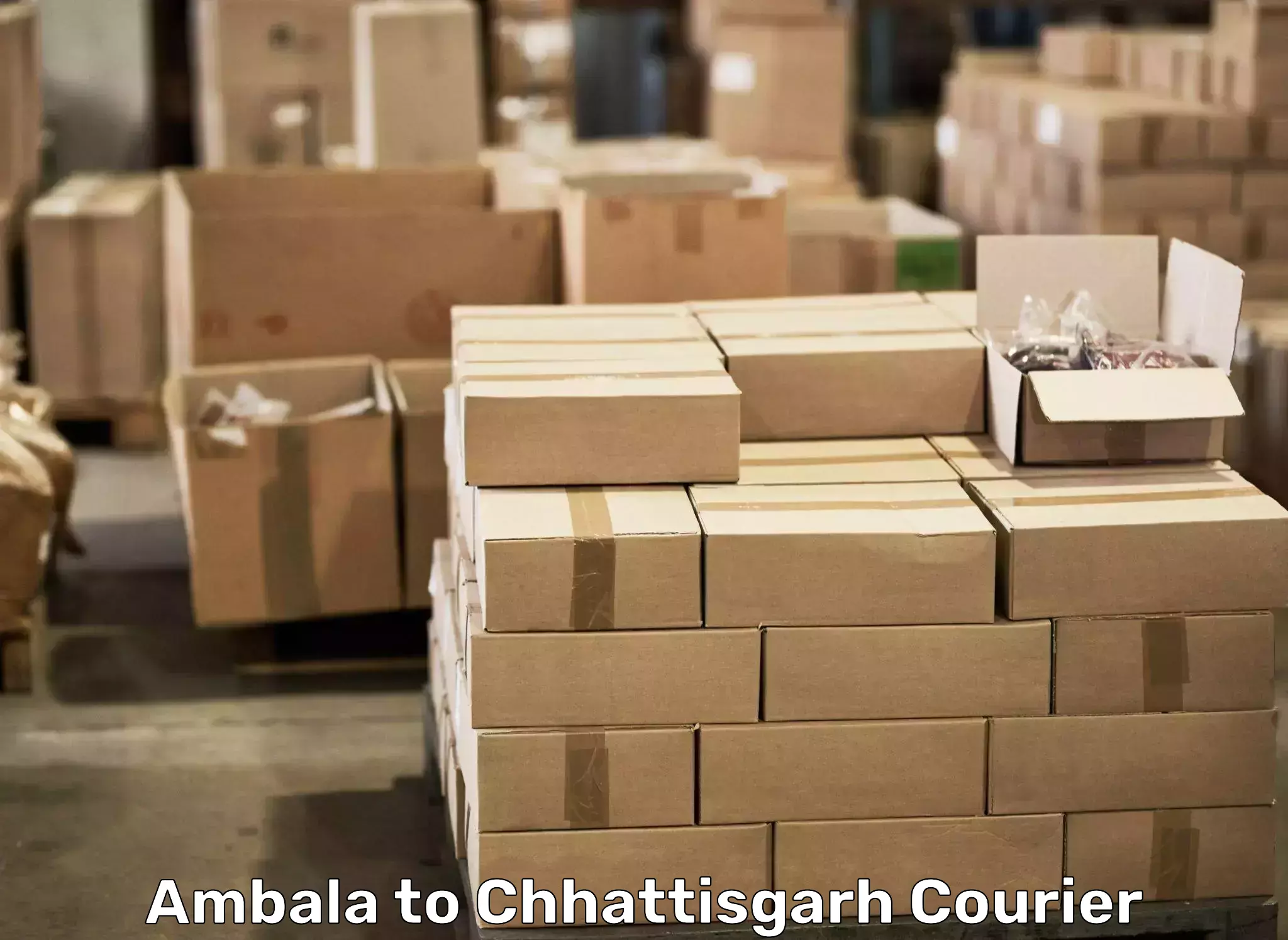 Furniture moving assistance Ambala to Sirpur