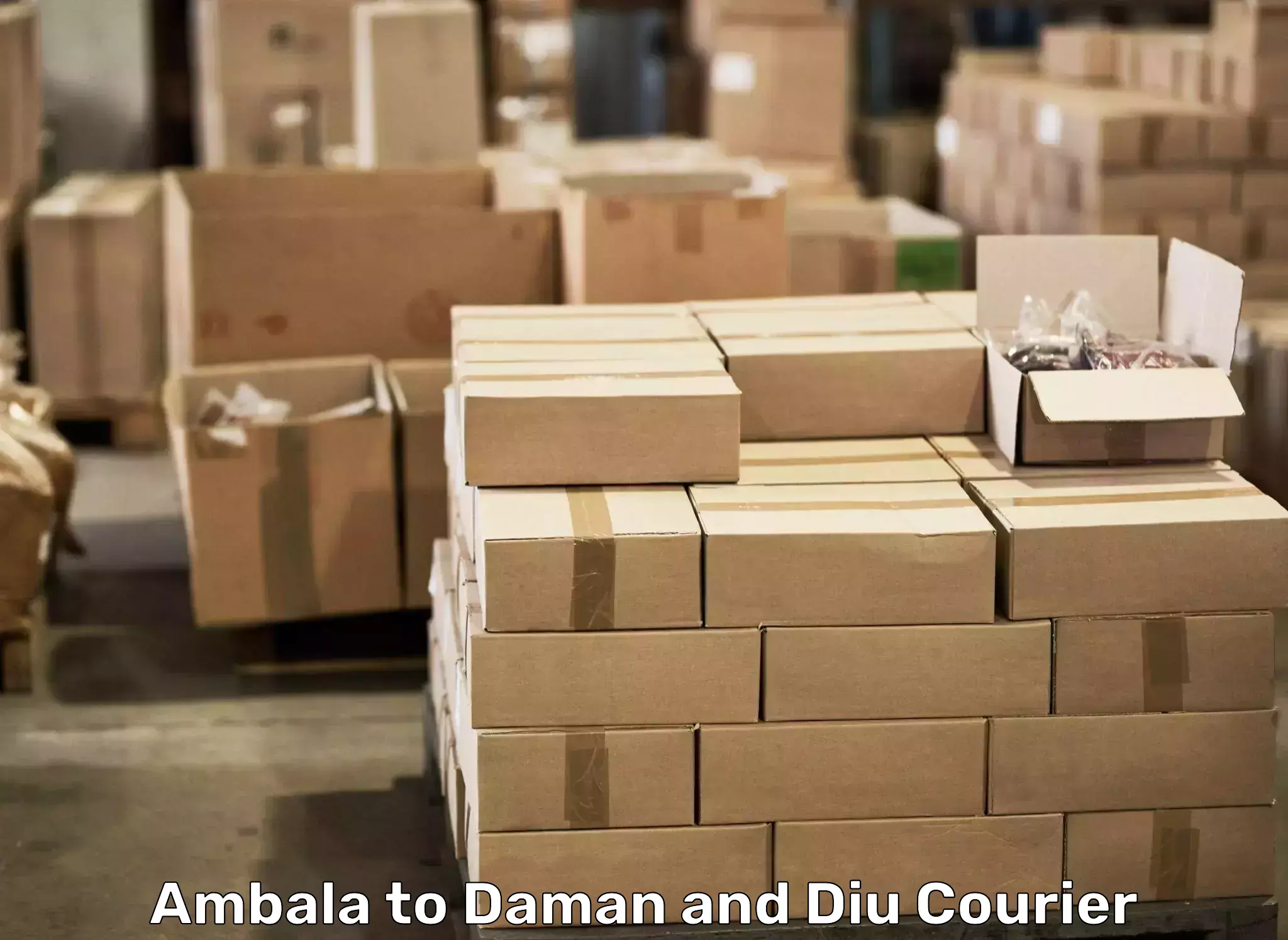Furniture moving strategies Ambala to Daman