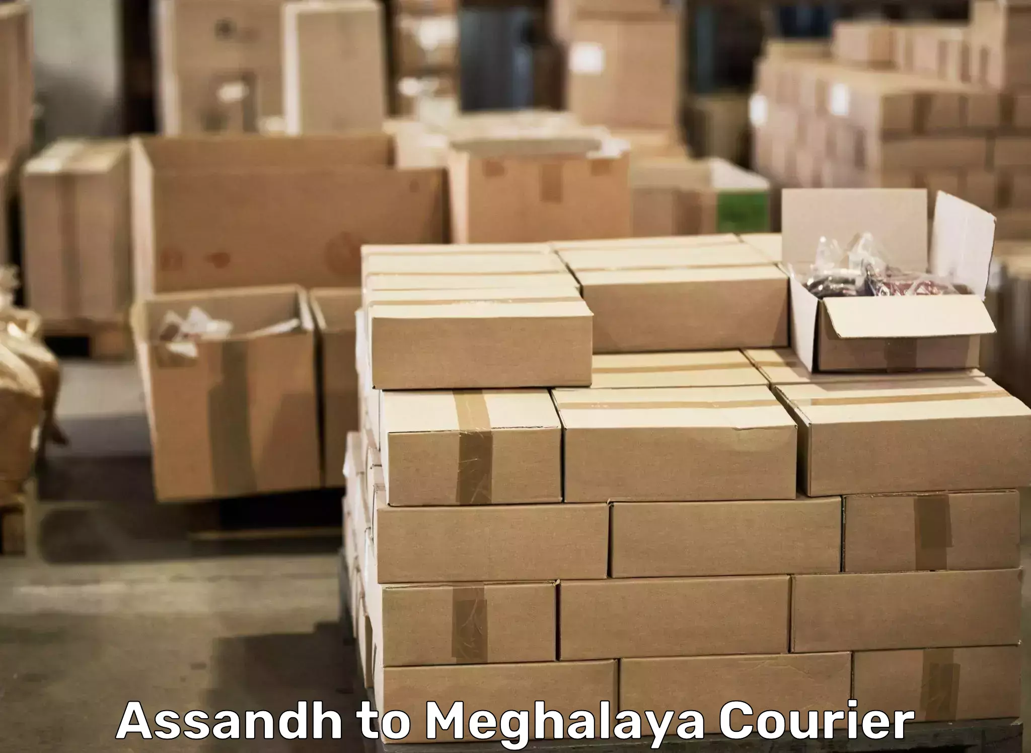 Professional moving company Assandh to Meghalaya