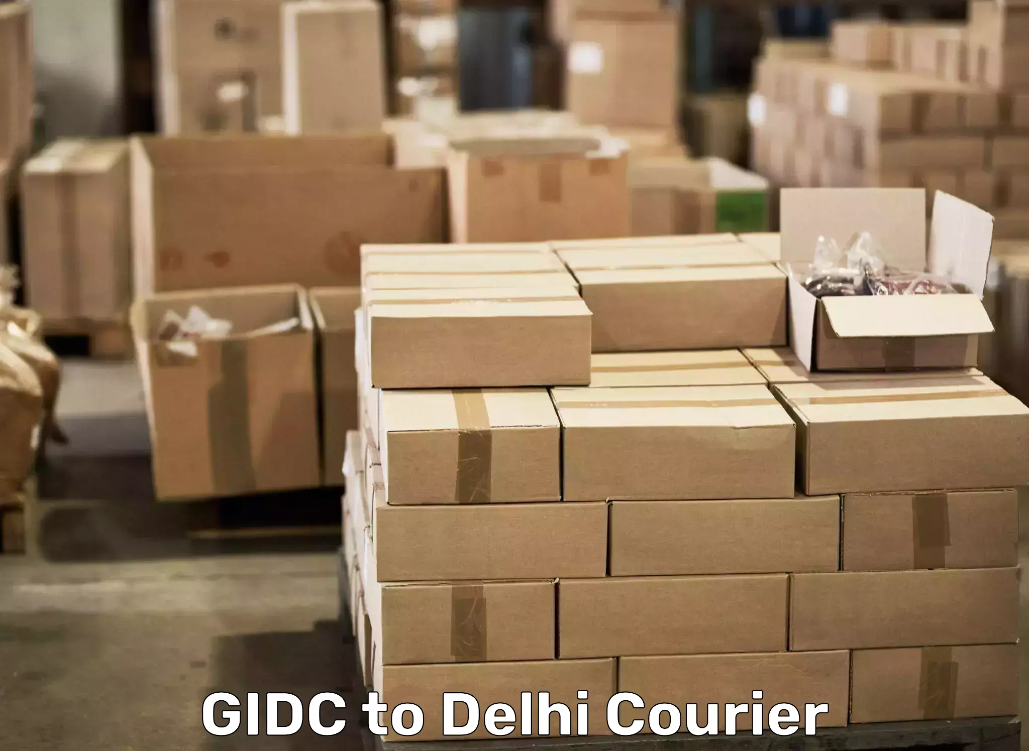 Professional packing services in GIDC to NIT Delhi