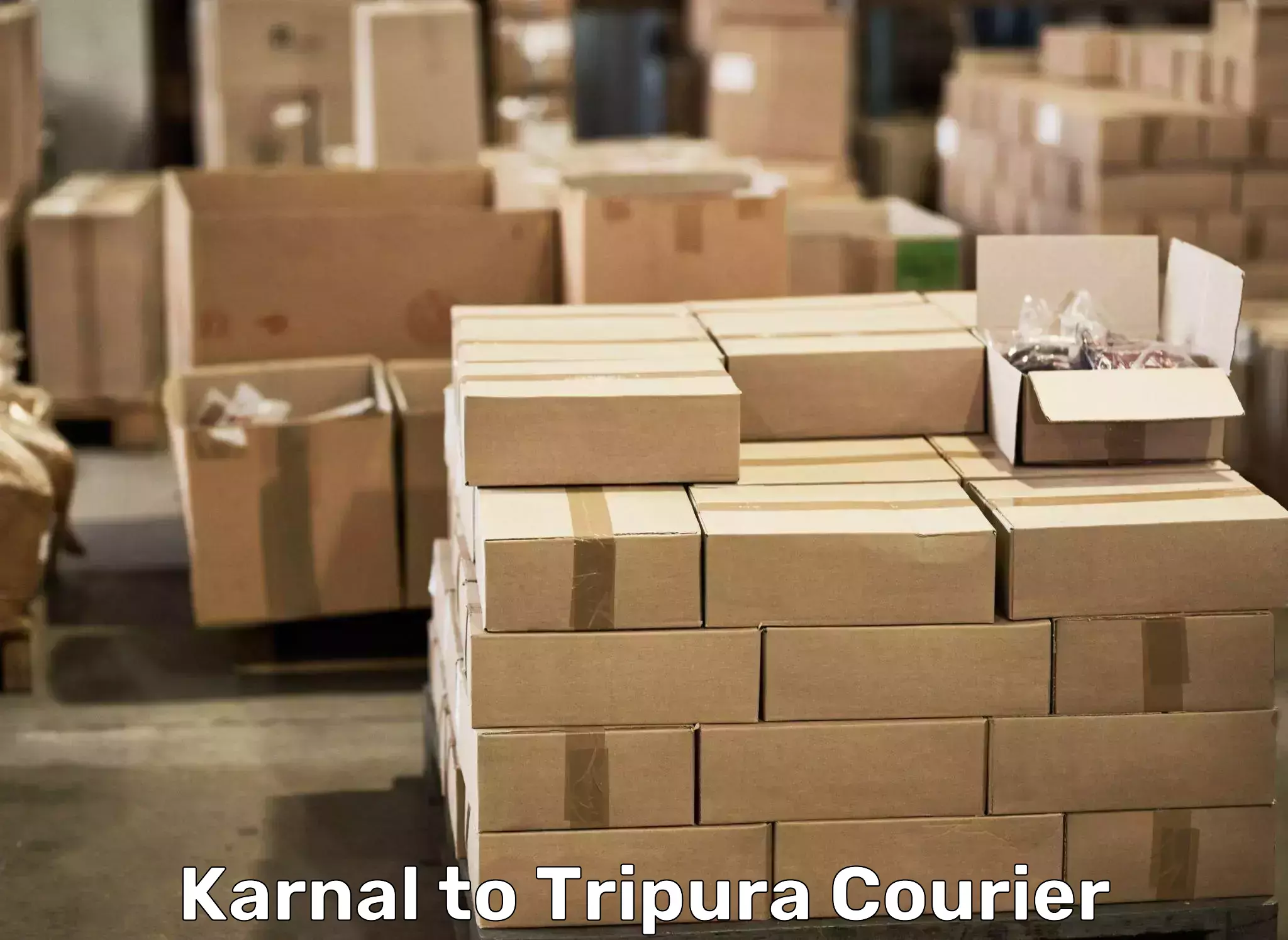 Furniture transport service Karnal to Kailashahar