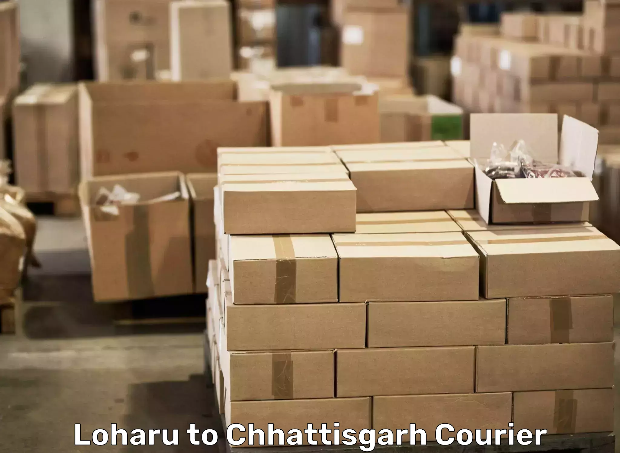 Skilled furniture transport in Loharu to Raigarh