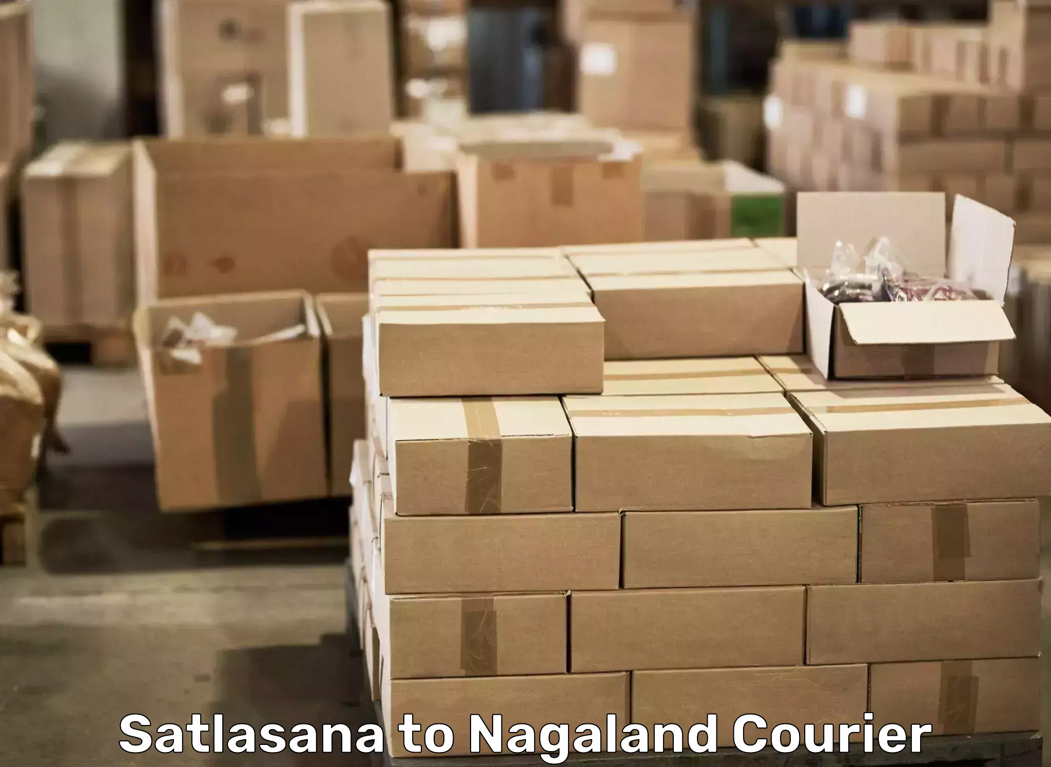 Cost-effective moving options Satlasana to Wokha