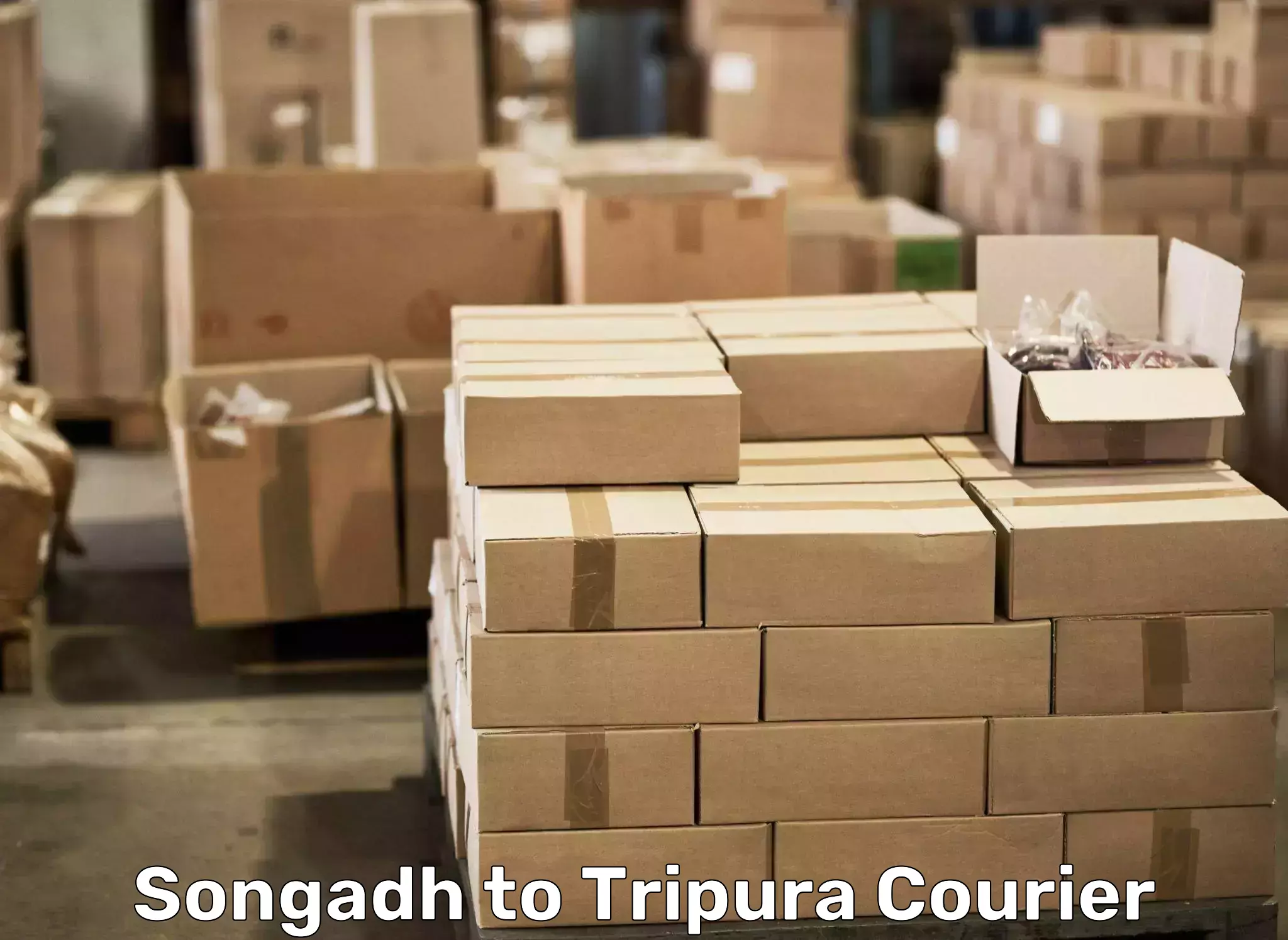 Skilled furniture transport Songadh to South Tripura