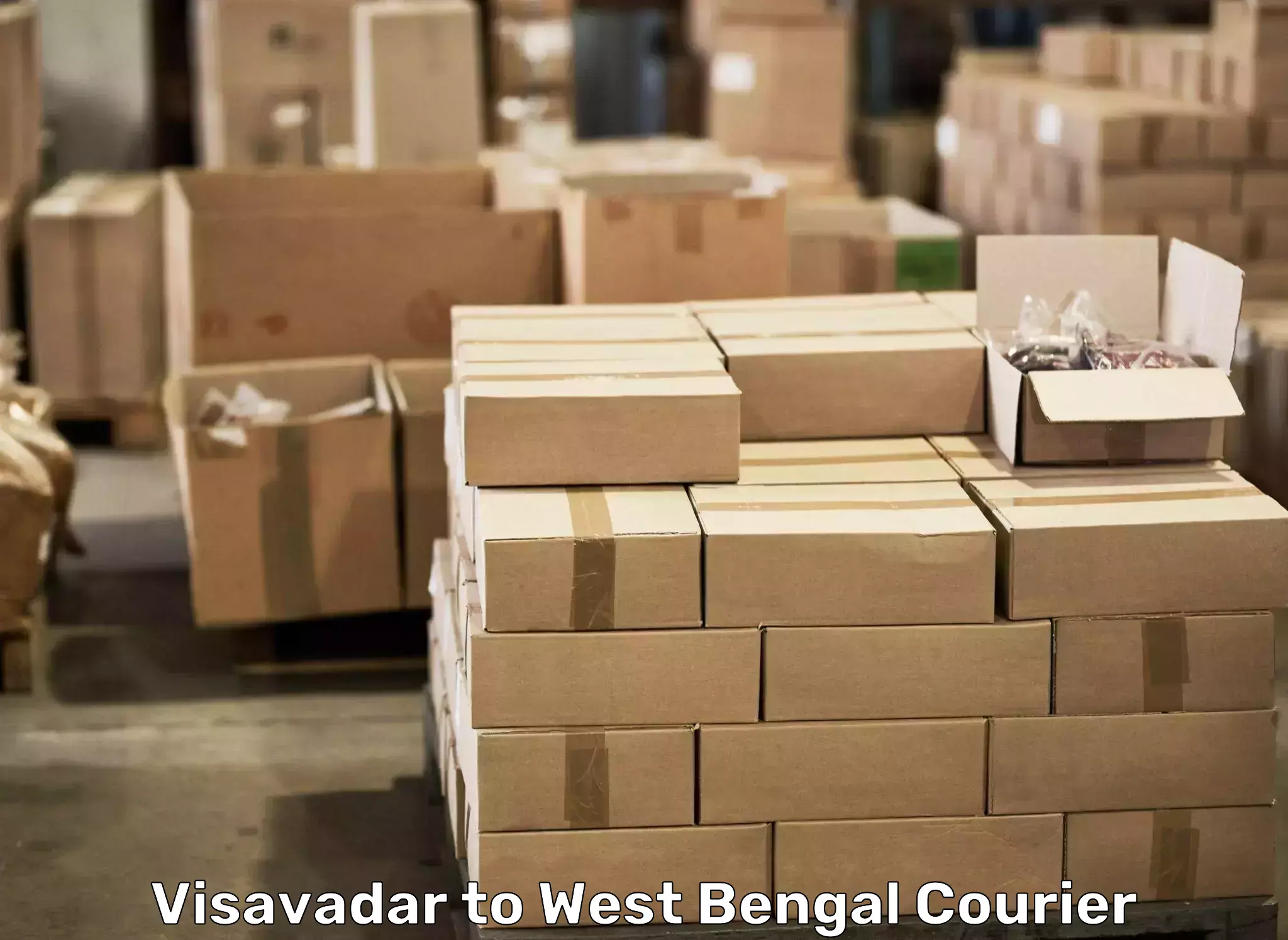 Professional packing and transport Visavadar to Madhyamgram