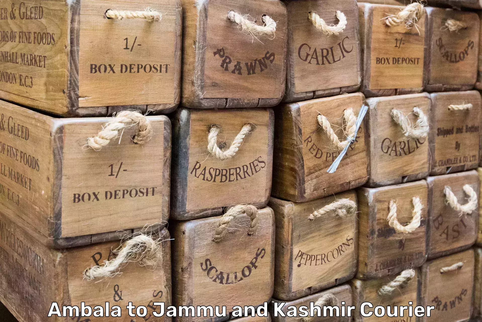 Reliable household shifting Ambala to Srinagar Kashmir