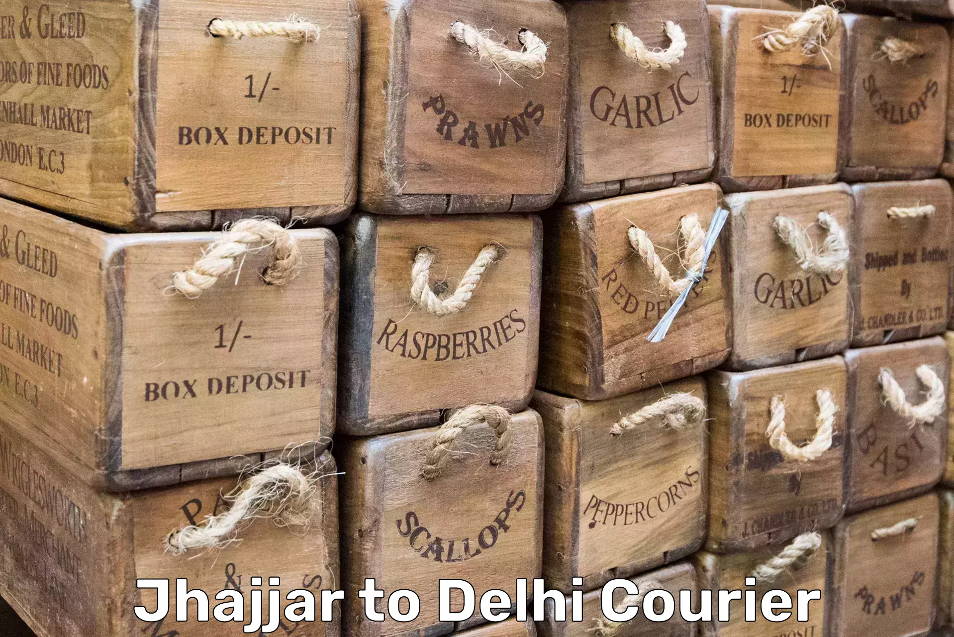 Long-distance household transport Jhajjar to Delhi Technological University DTU