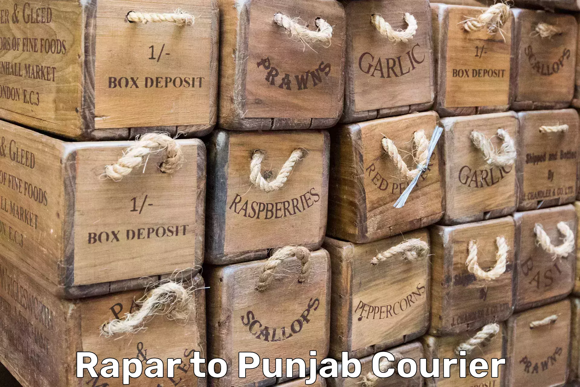 Professional packing and transport Rapar to Rajpura
