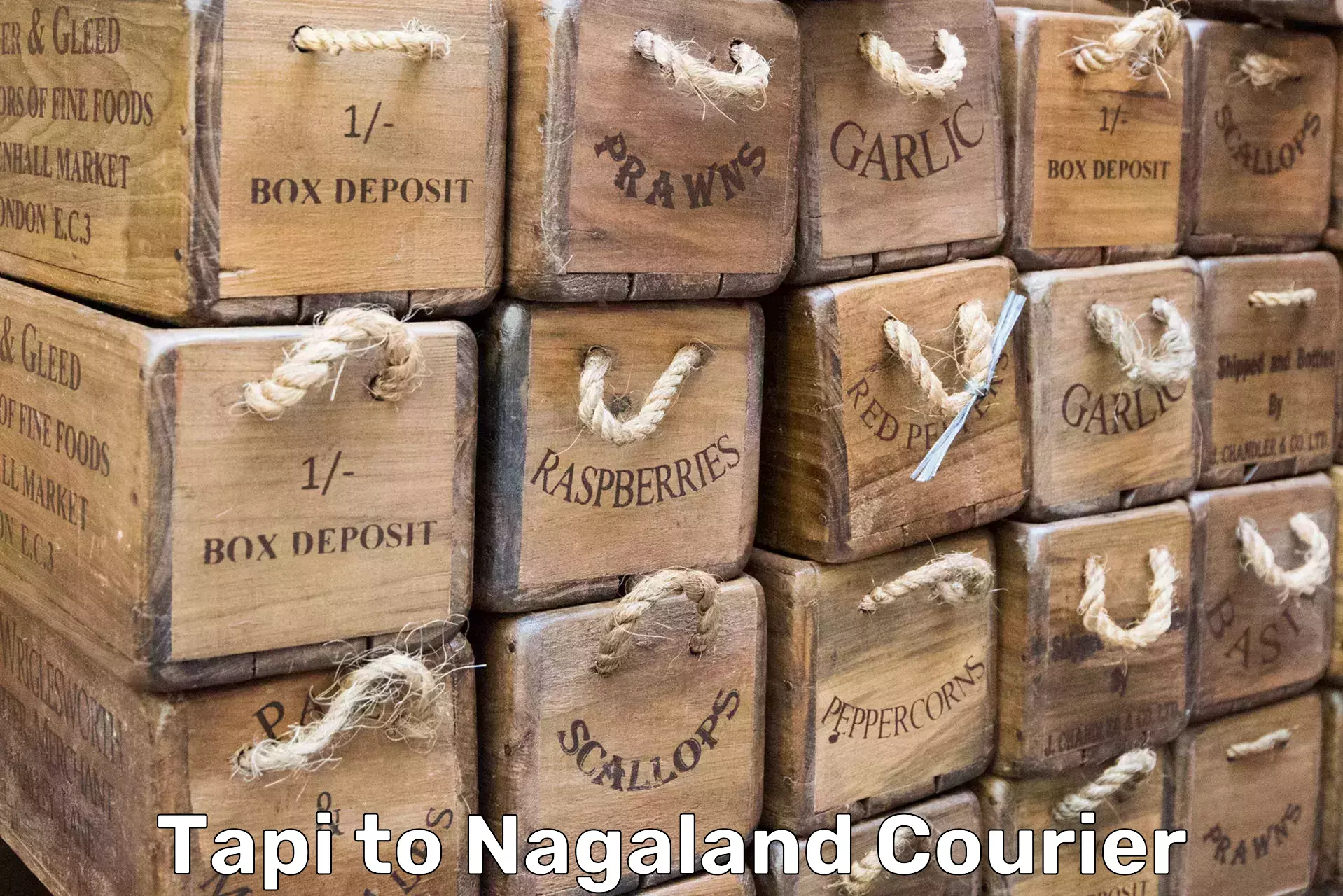 Efficient packing services Tapi to Nagaland