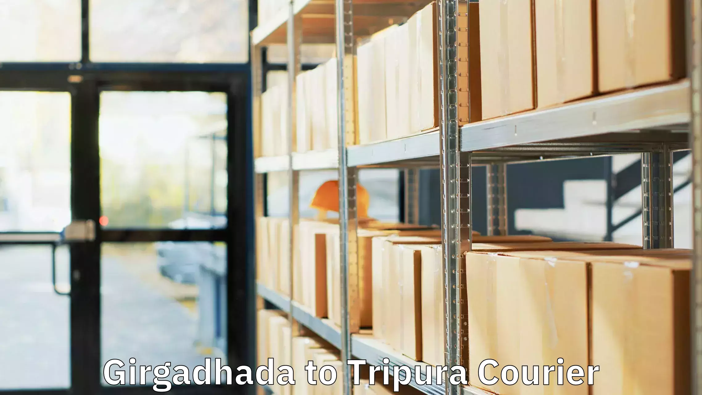 Luggage forwarding service Girgadhada to Udaipur Tripura