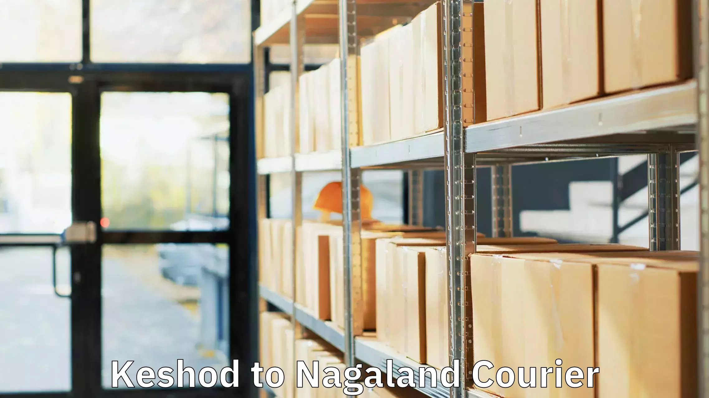 Heavy luggage shipping Keshod to NIT Nagaland