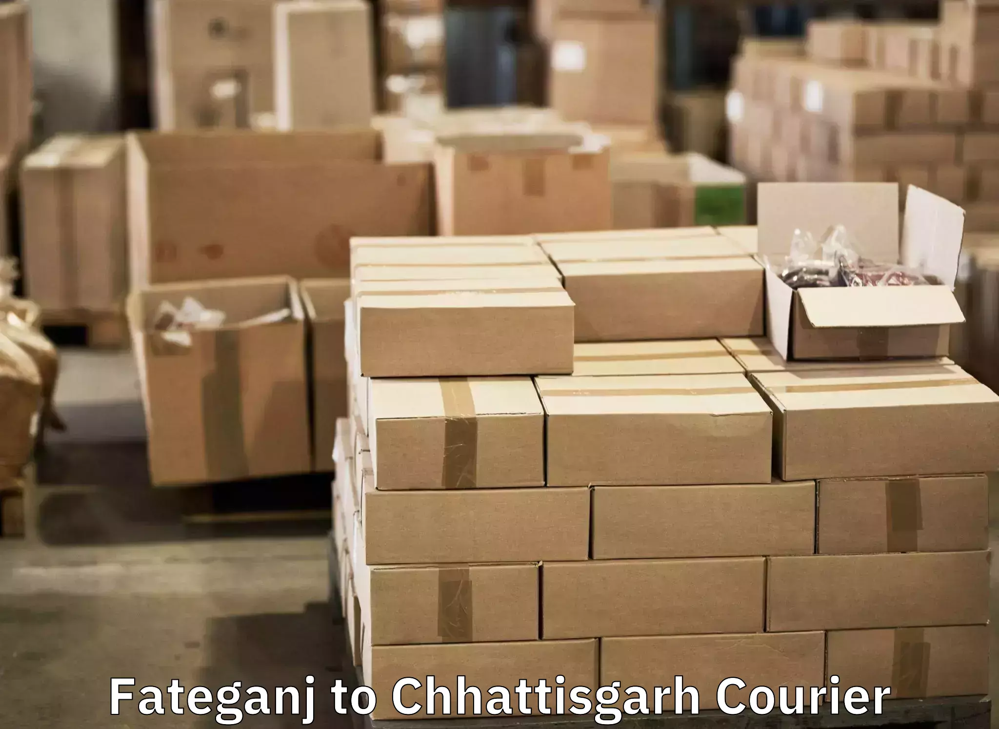 Luggage delivery logistics Fateganj to Patna Chhattisgarh