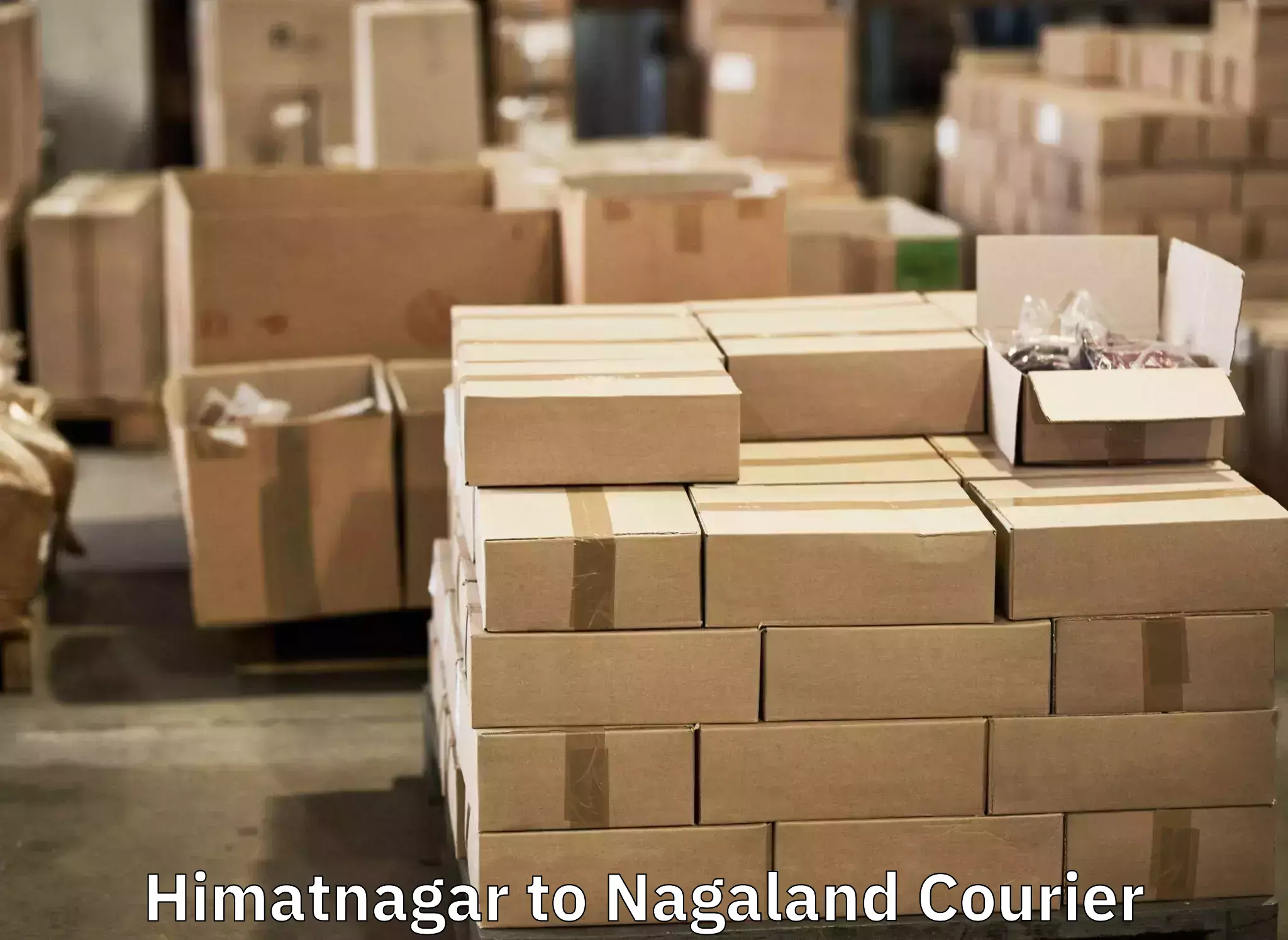 Baggage courier FAQs Himatnagar to Nagaland