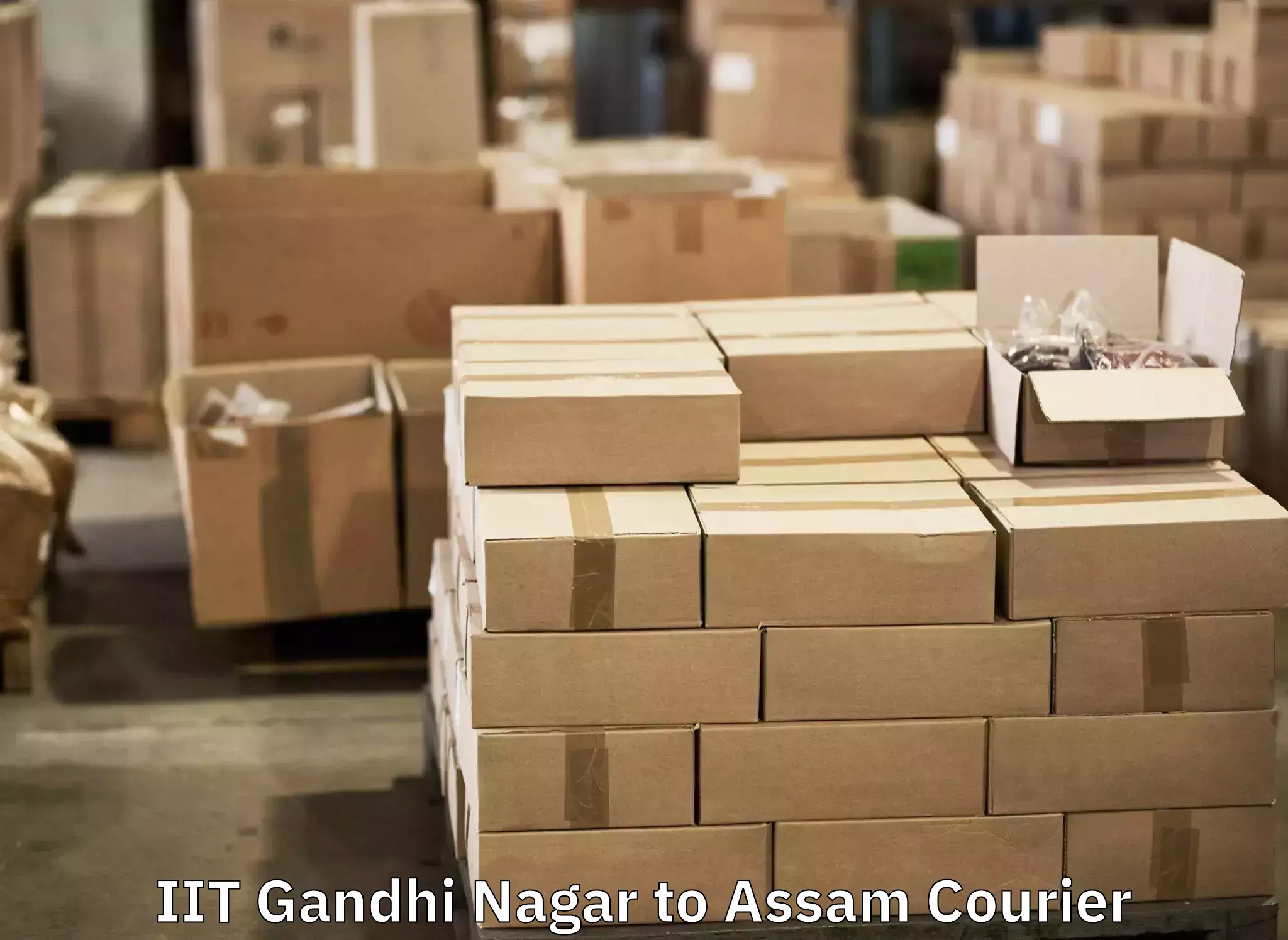 Online luggage shipping booking IIT Gandhi Nagar to Paneri Kamrup