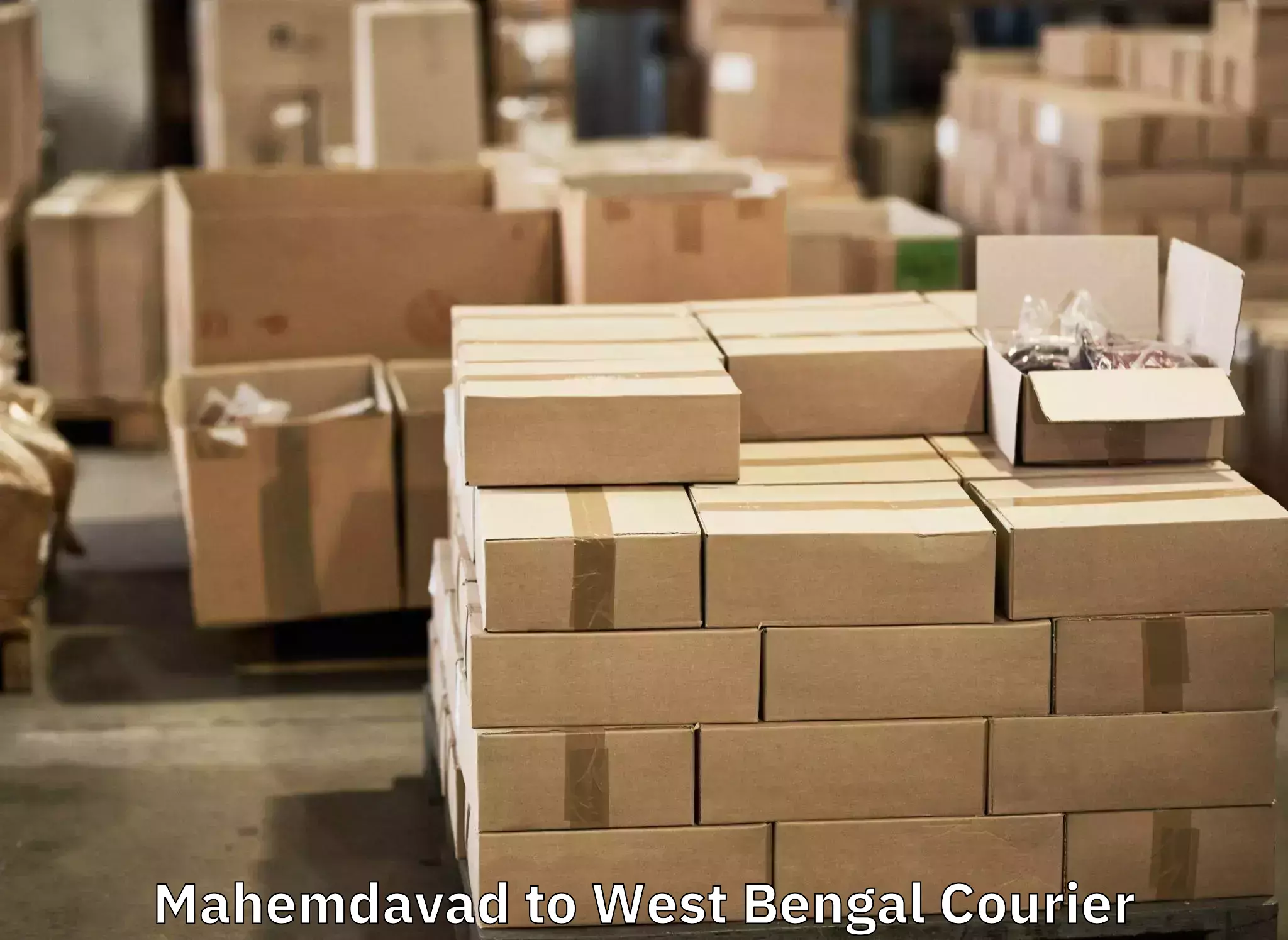 Baggage courier advice Mahemdavad to Ennore