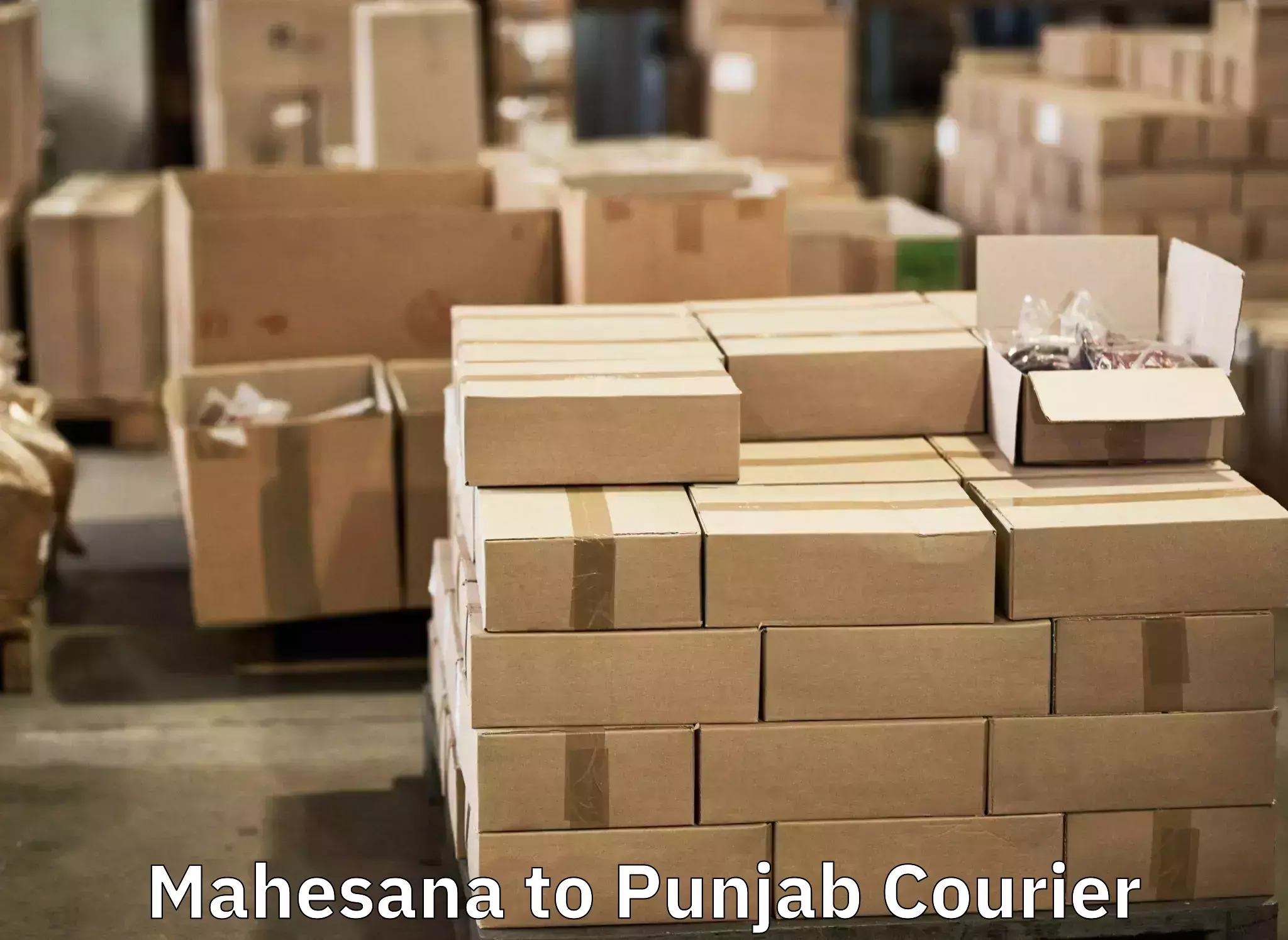 Electronic items luggage shipping Mahesana to Begowal