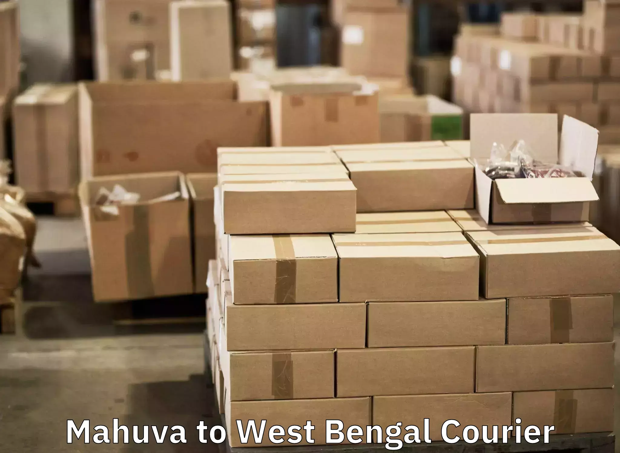 Baggage courier operations Mahuva to Adampur Barddhaman
