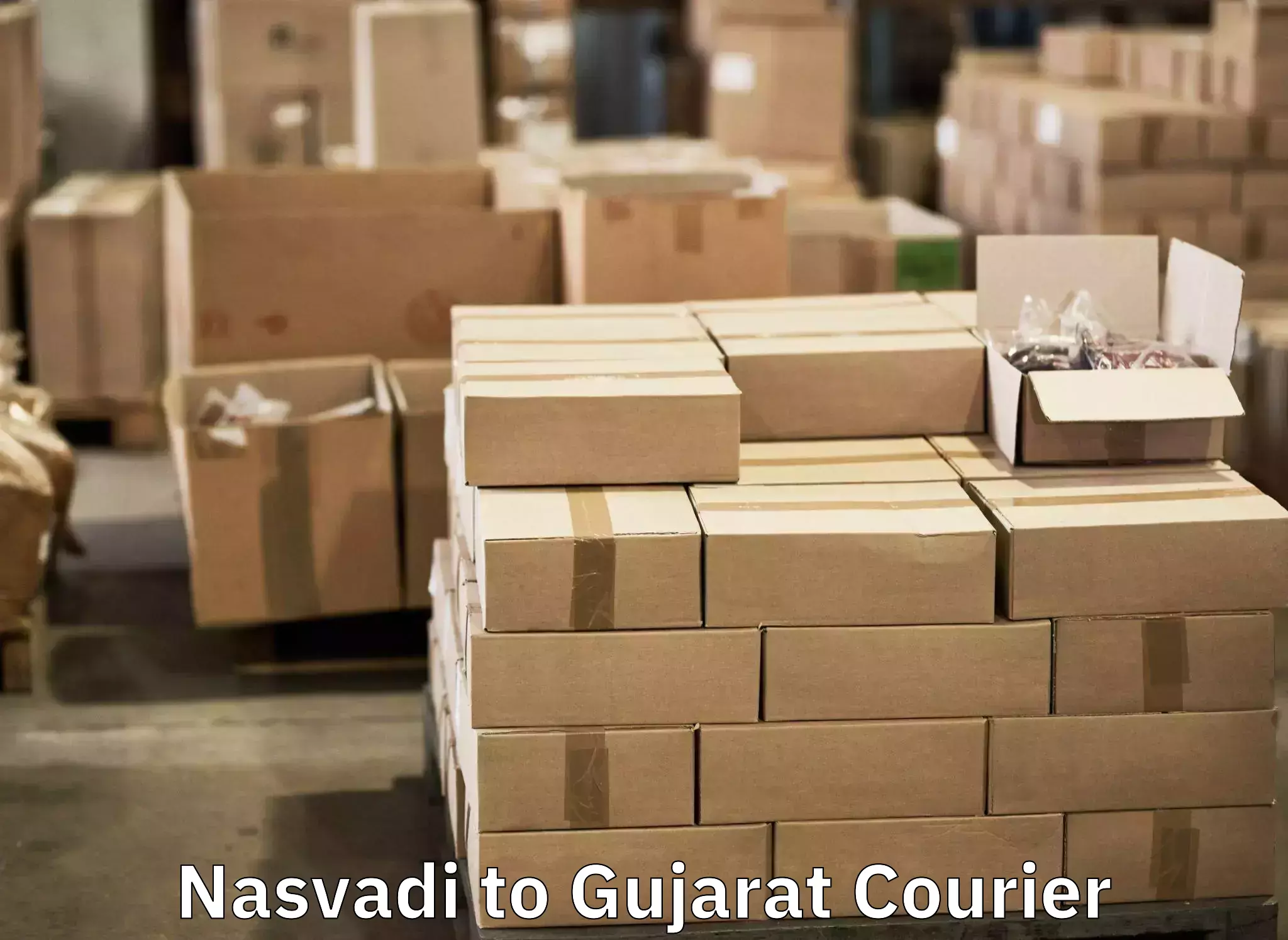 Baggage delivery planning in Nasvadi to Matar