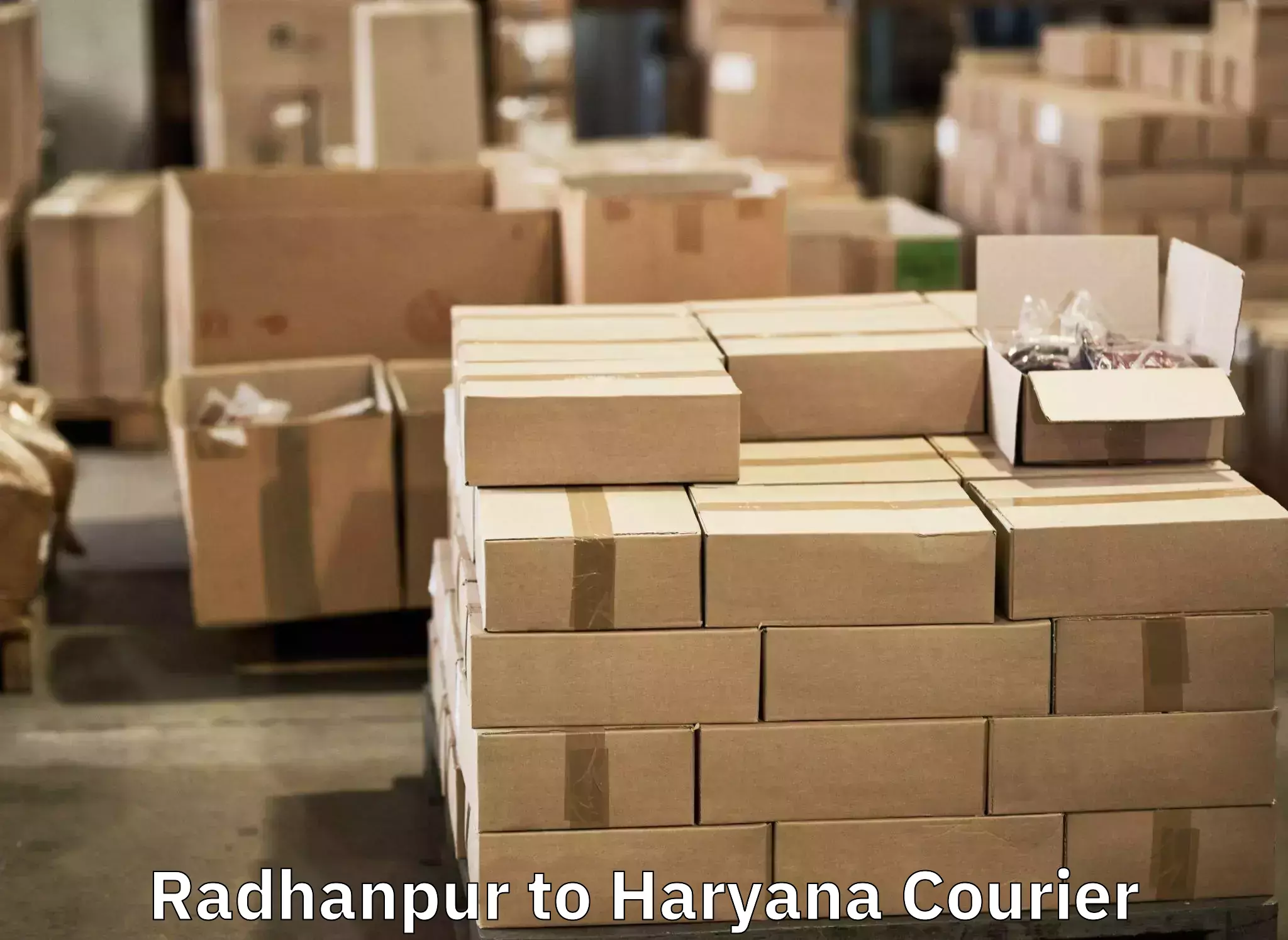 Luggage shipping management Radhanpur to Dharuhera
