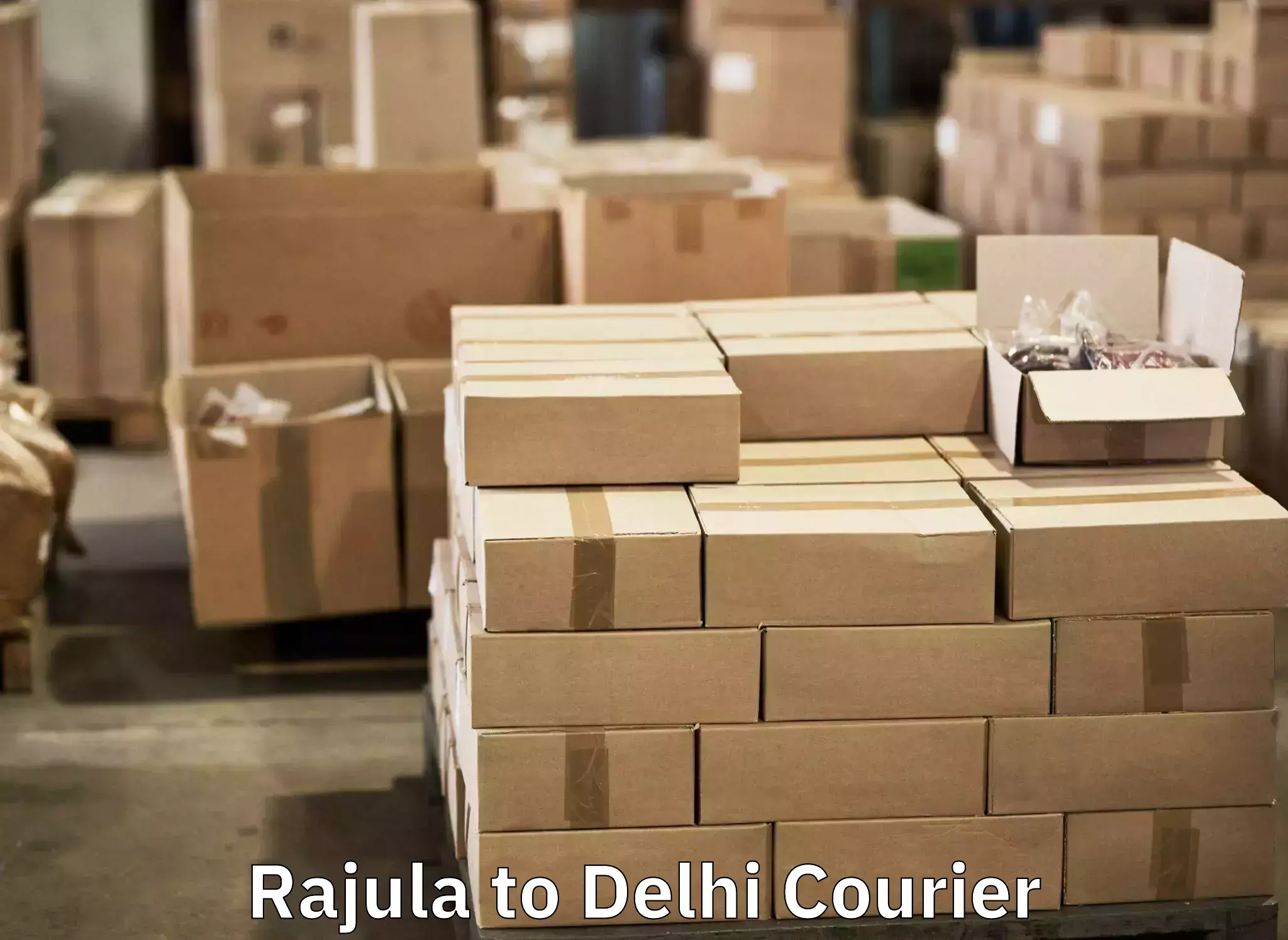 Luggage courier planning Rajula to IIT Delhi