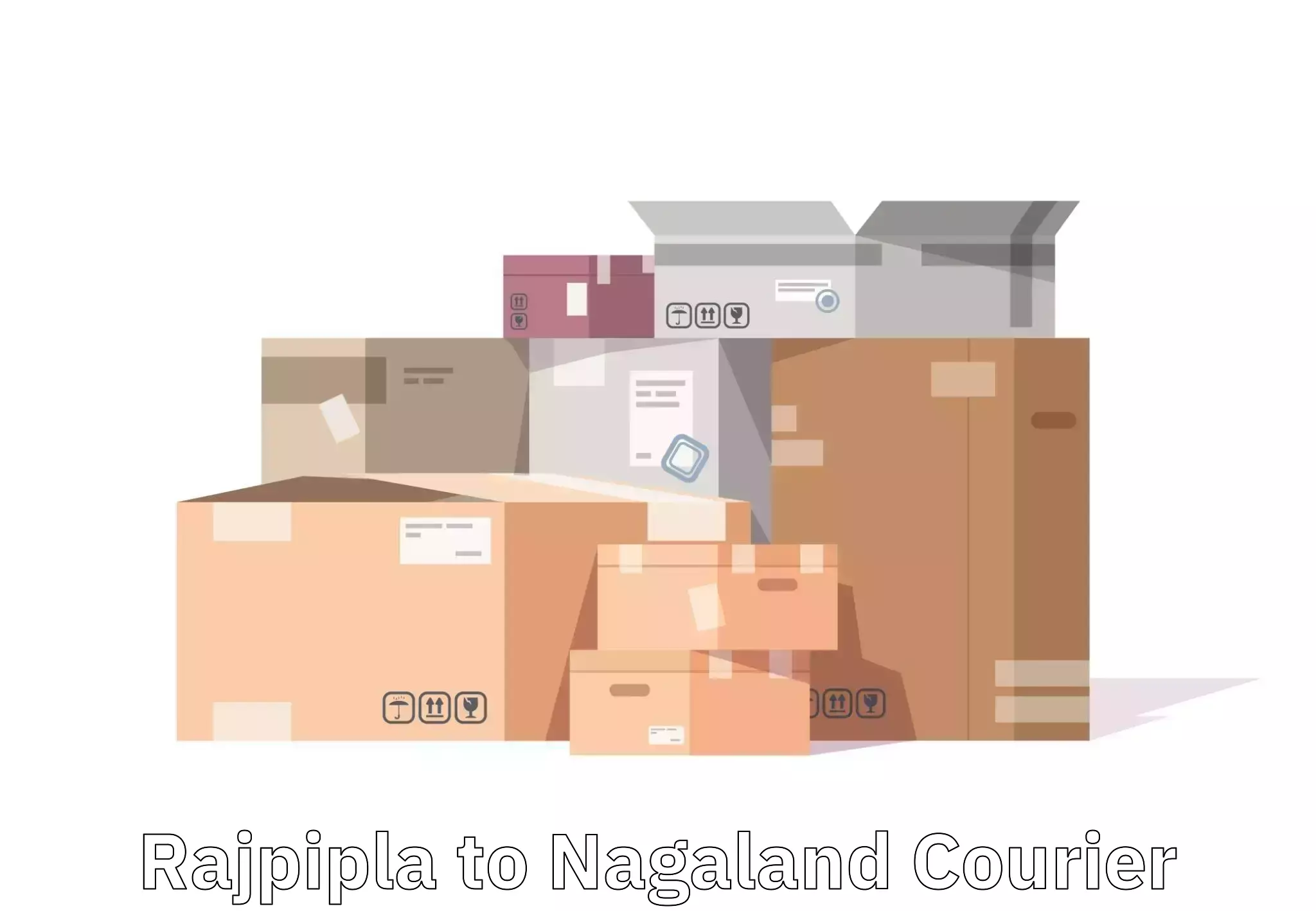 Express baggage shipping Rajpipla to Nagaland